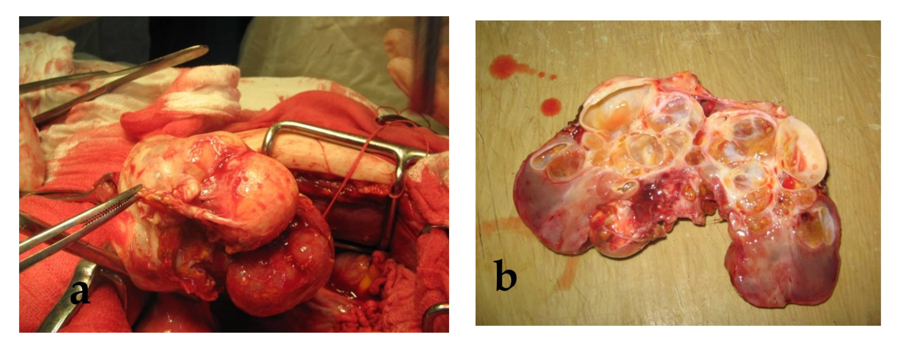 Applsci 11 09427 g002