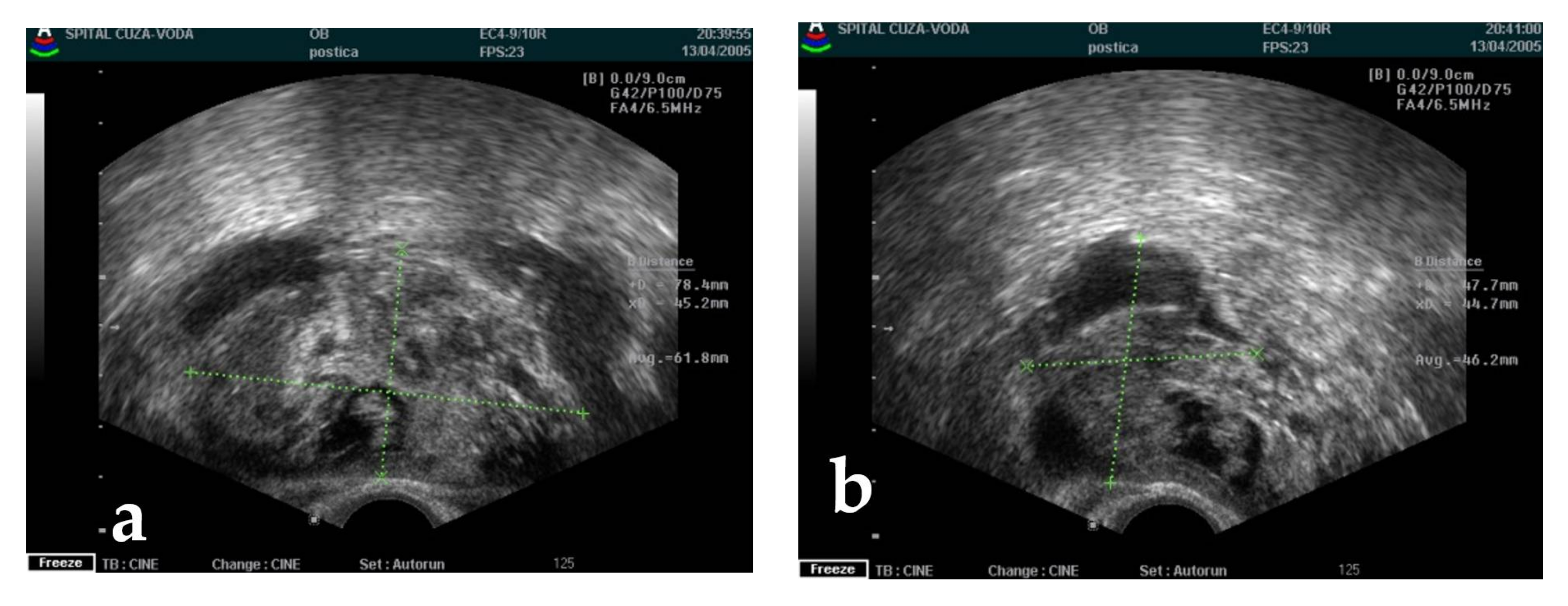 Applsci 11 09427 g003