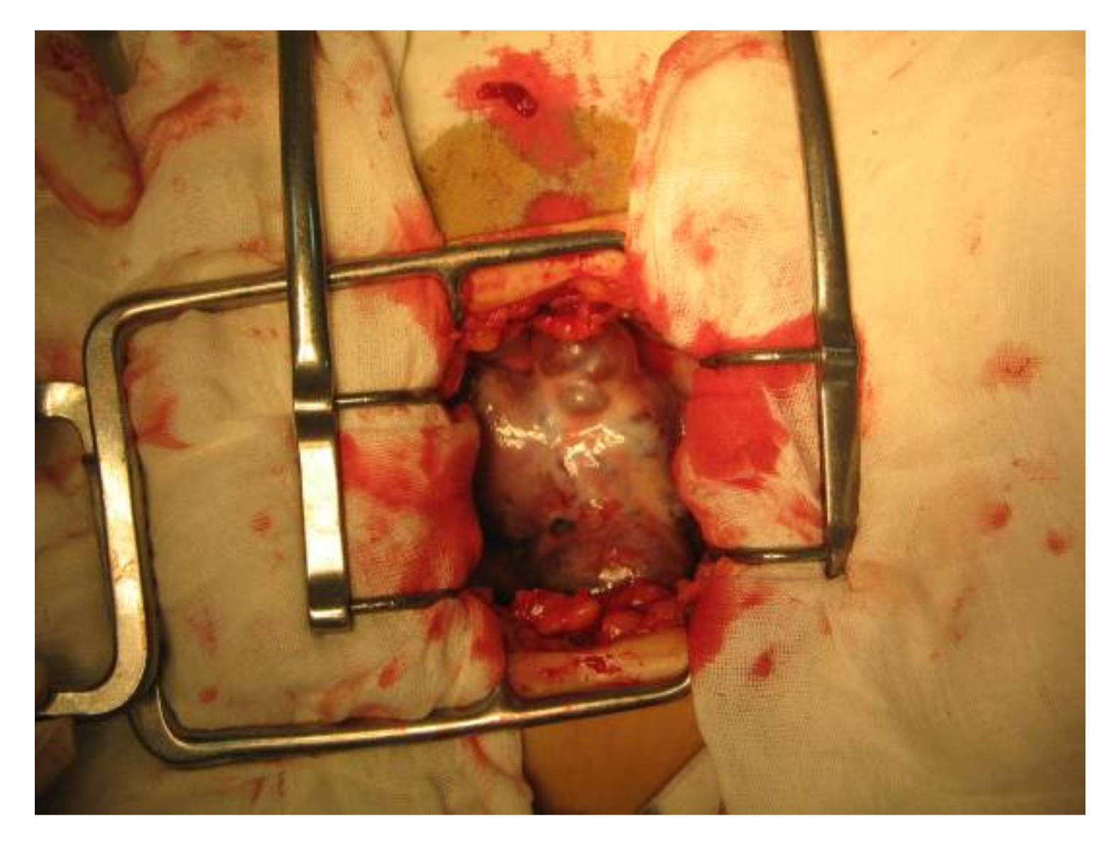 Applsci 11 09427 g005