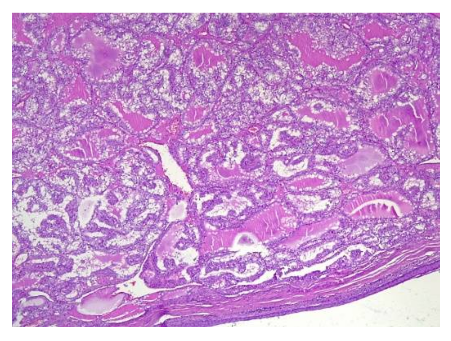 Applsci 11 09427 g006