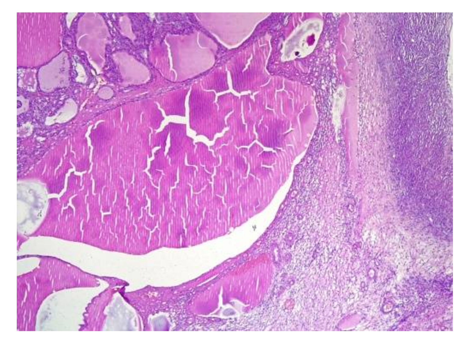 Applsci 11 09427 g007