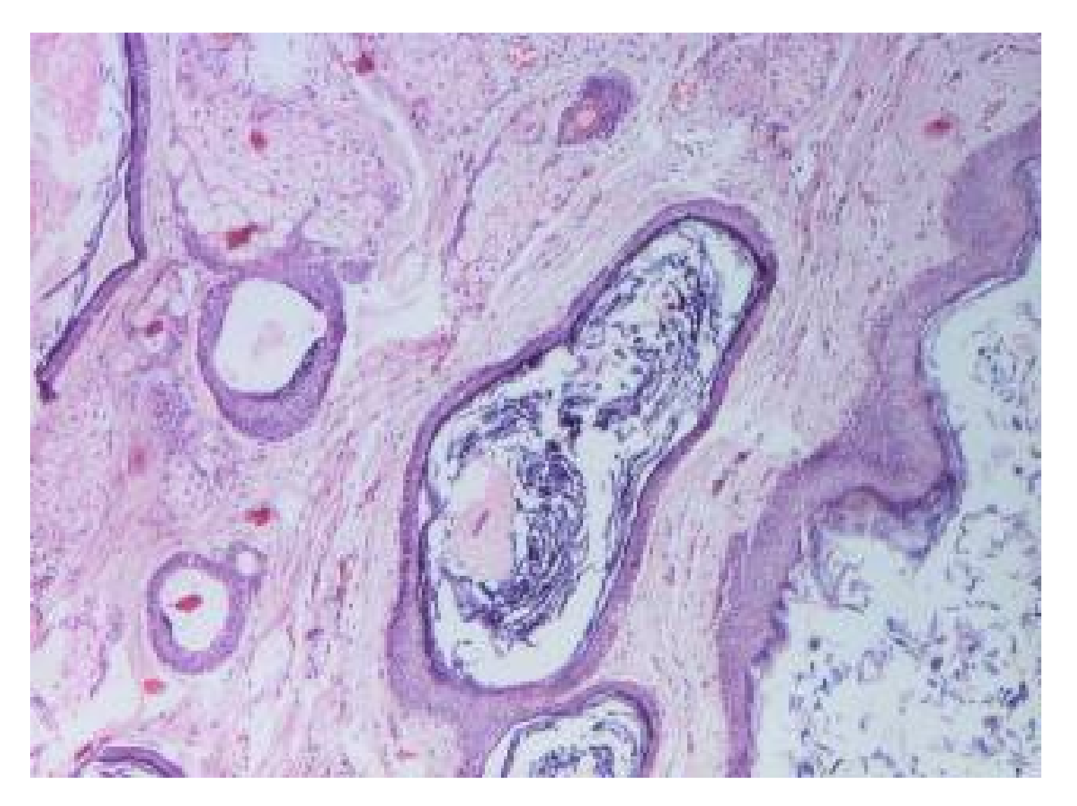 Applsci 11 09427 g008