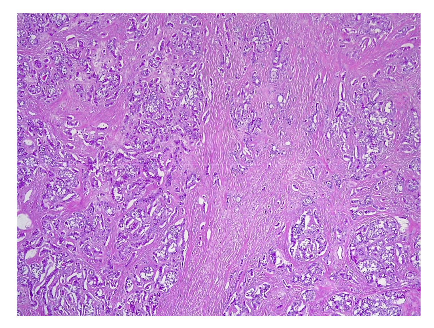 Applsci 11 09427 g009