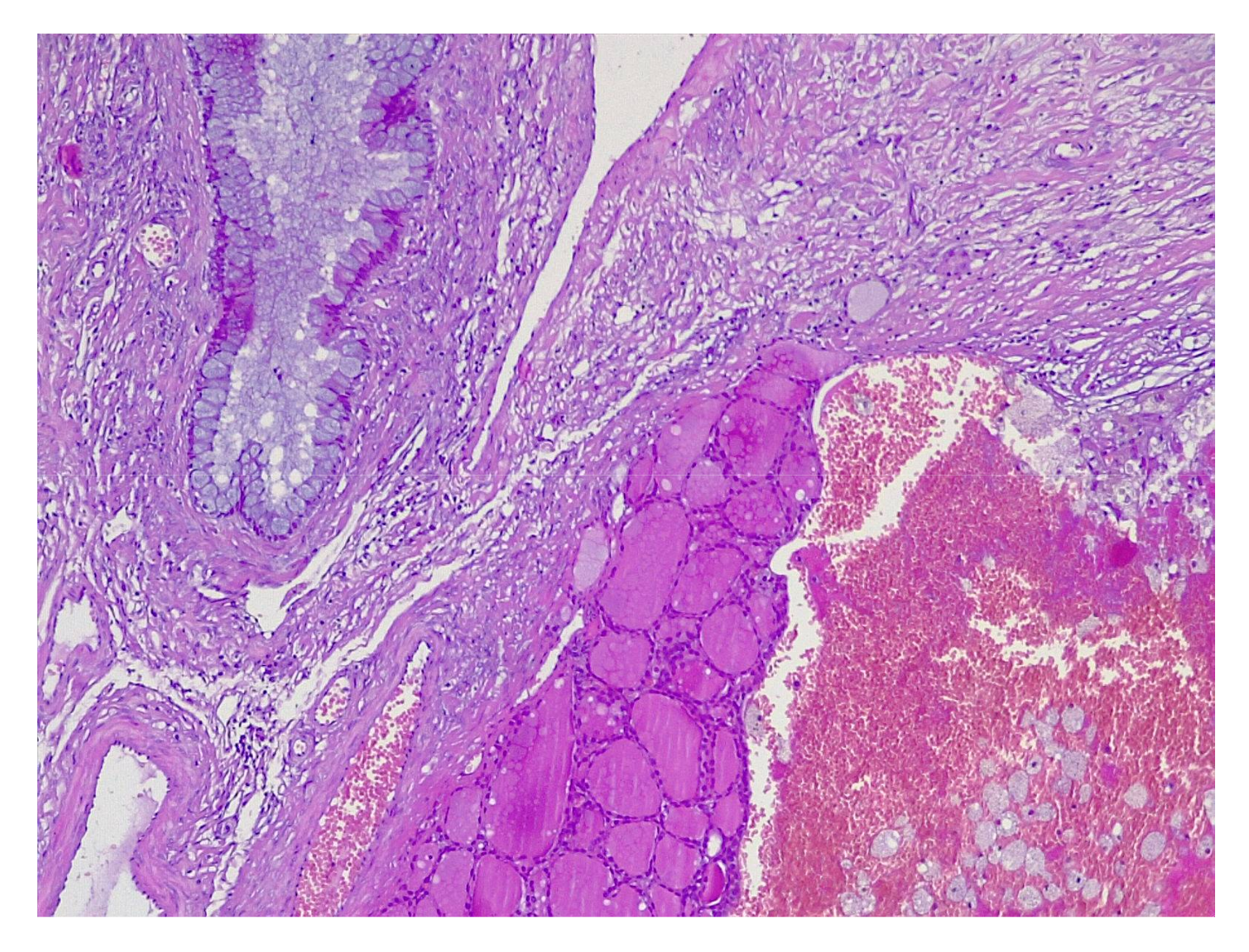 Applsci 11 09427 g010