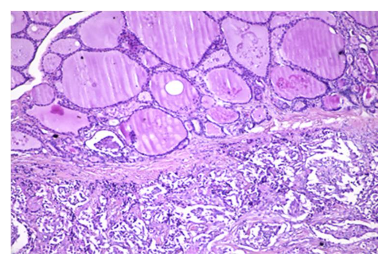 Applsci 11 09427 g011