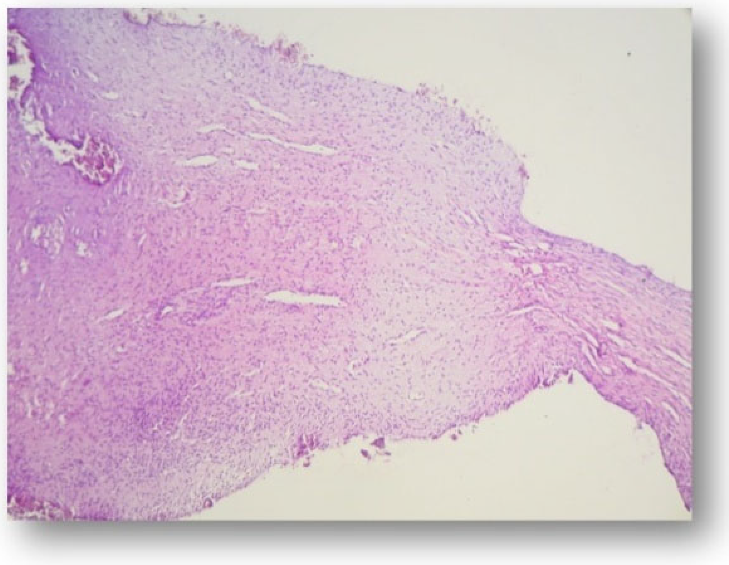 Applsci 11 09440 g001