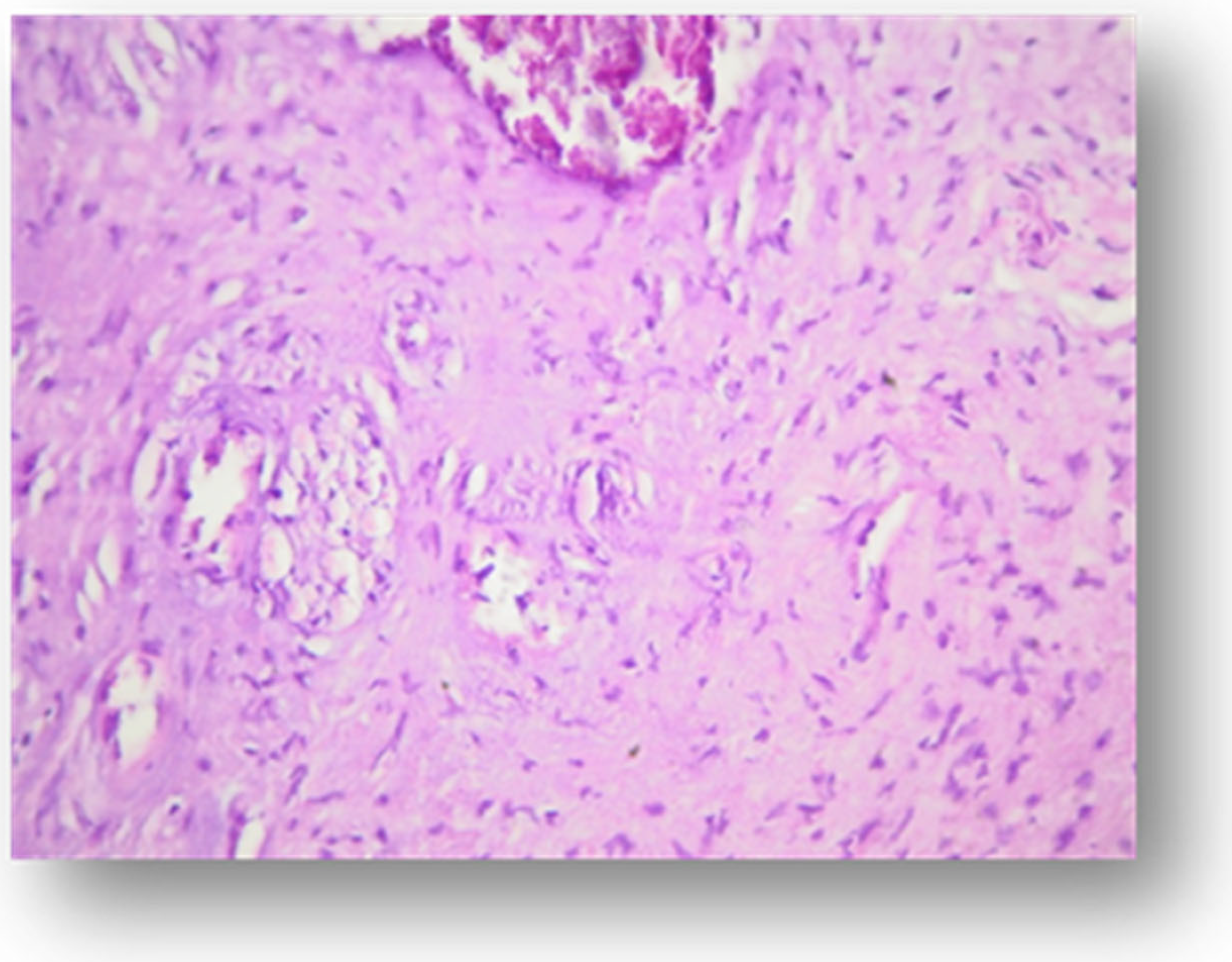 Applsci 11 09440 g003