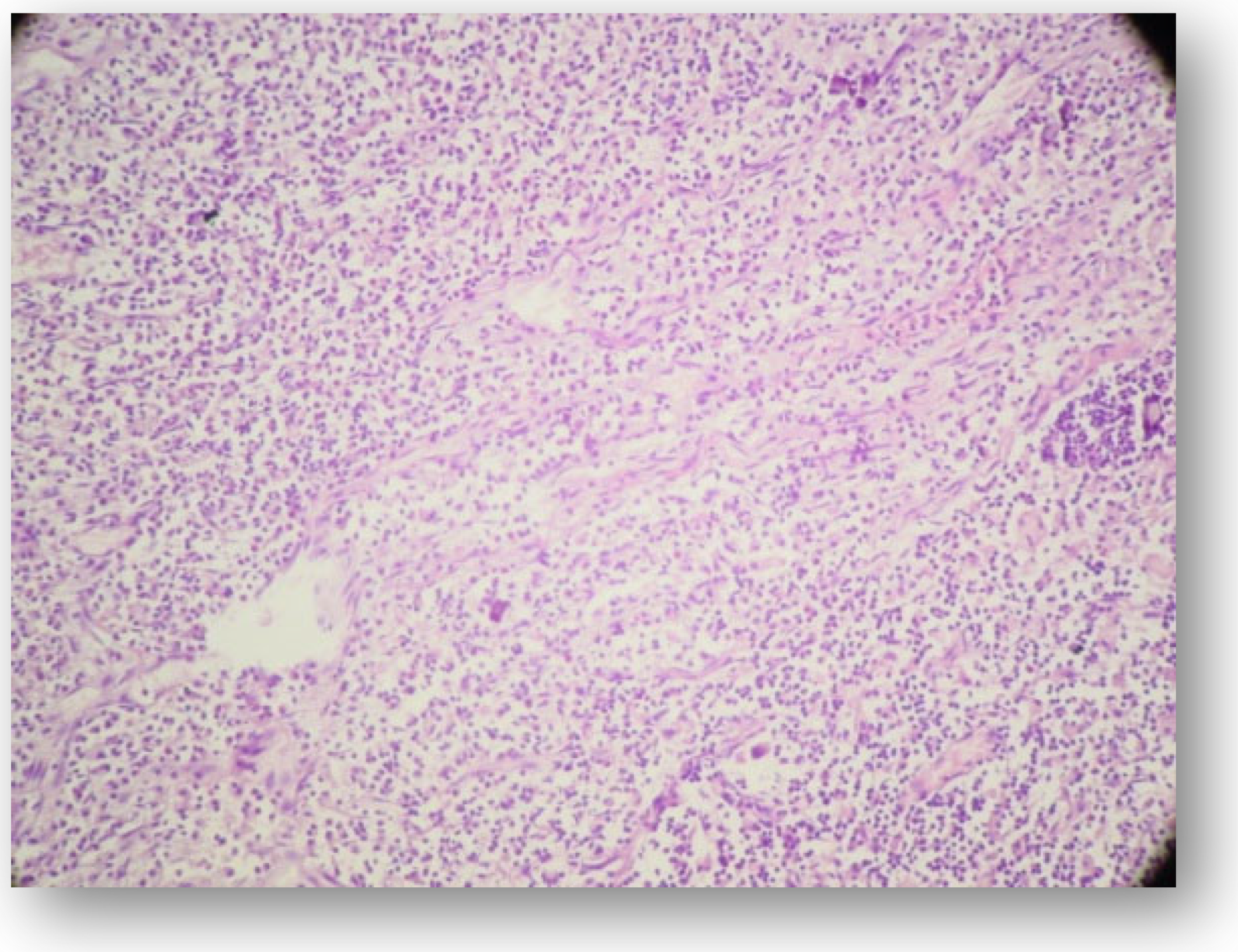 Applsci 11 09440 g005