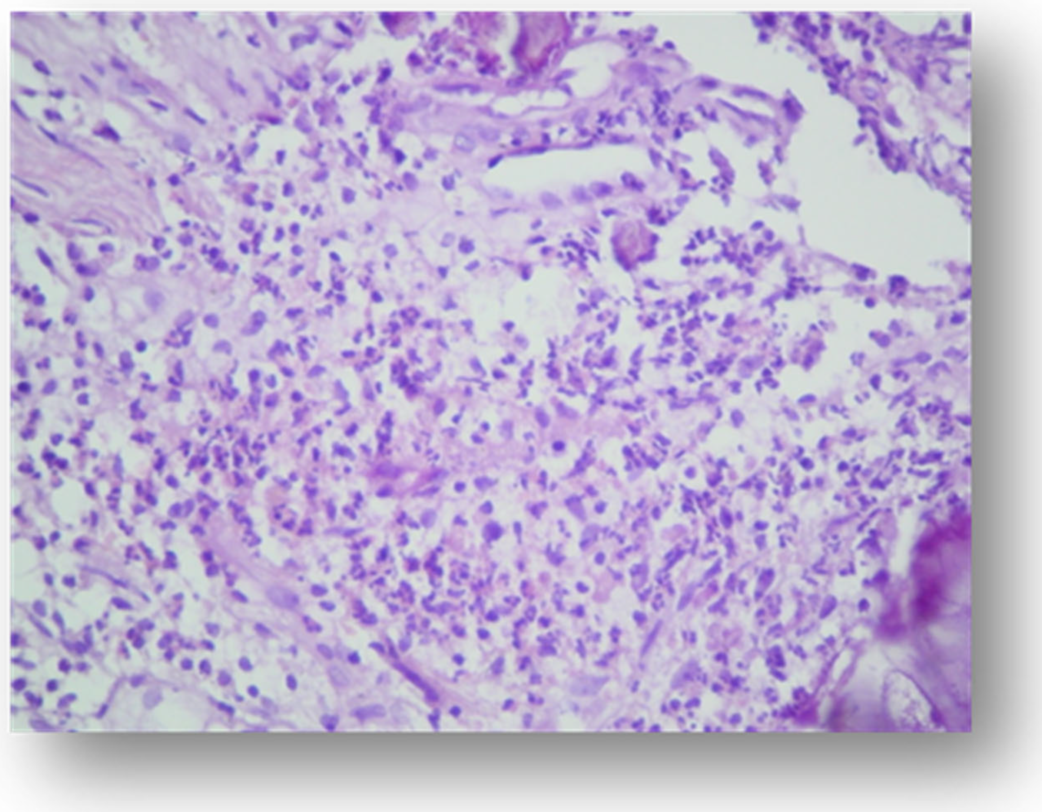 Applsci 11 09440 g006