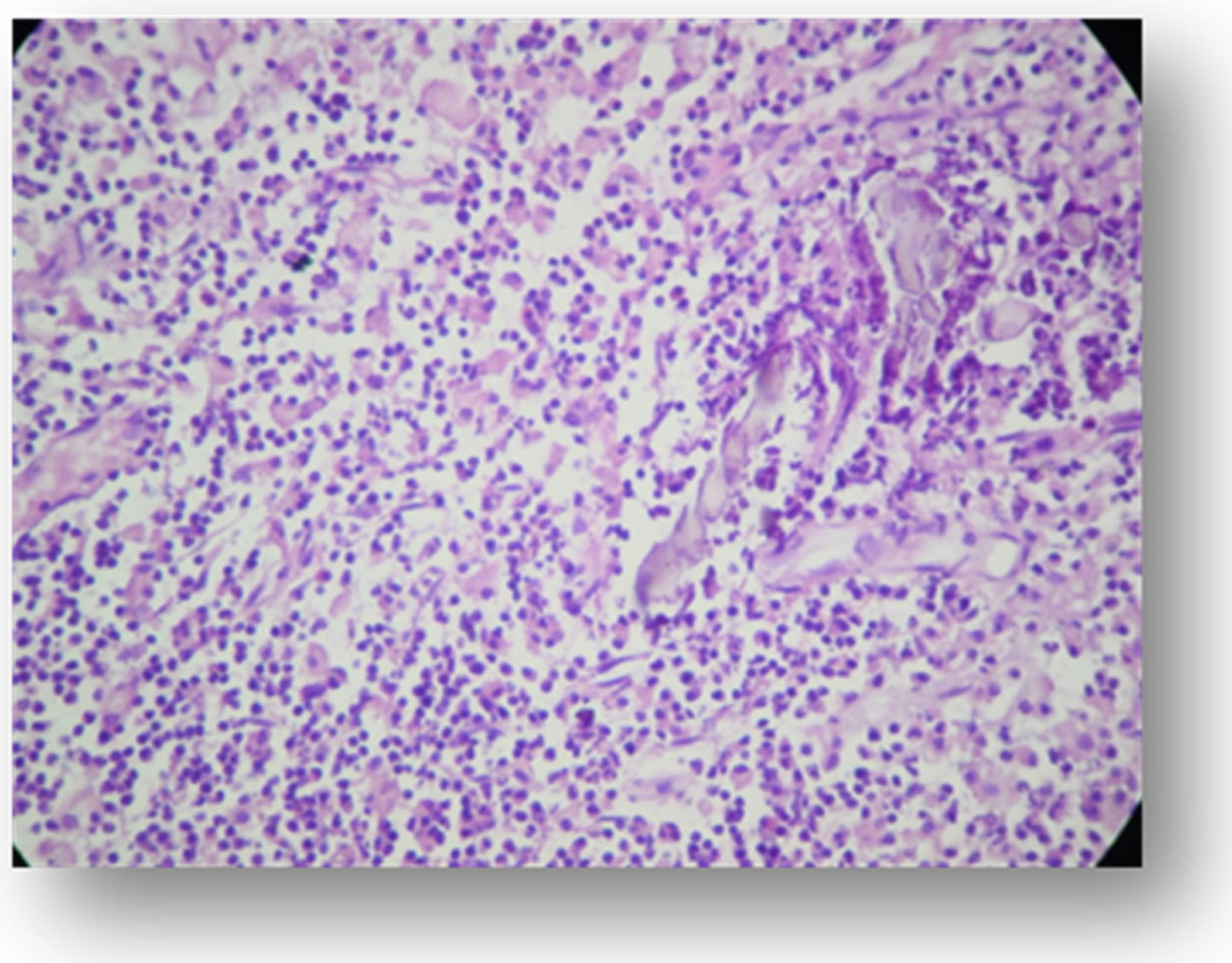 Applsci 11 09440 g007