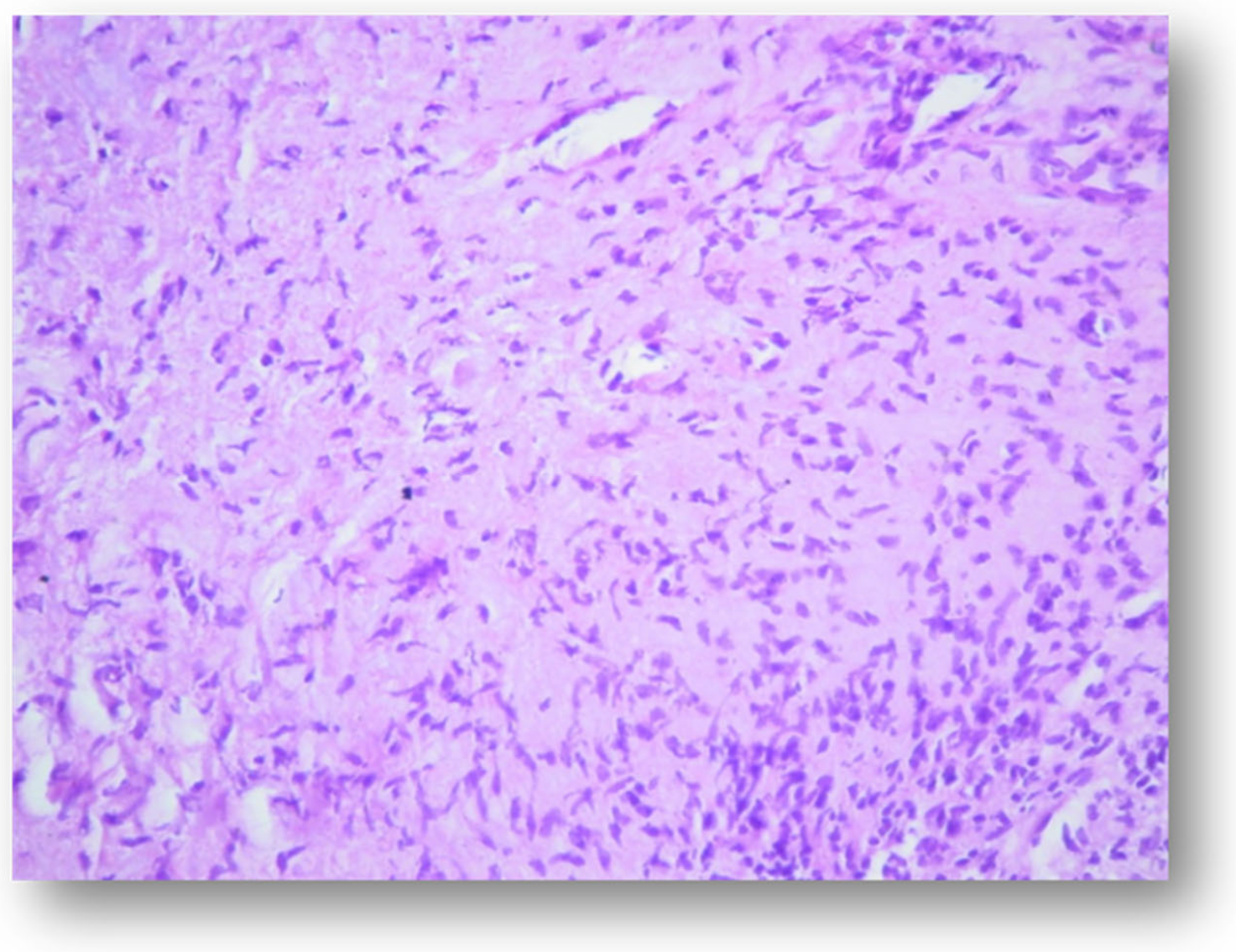 Applsci 11 09440 g008