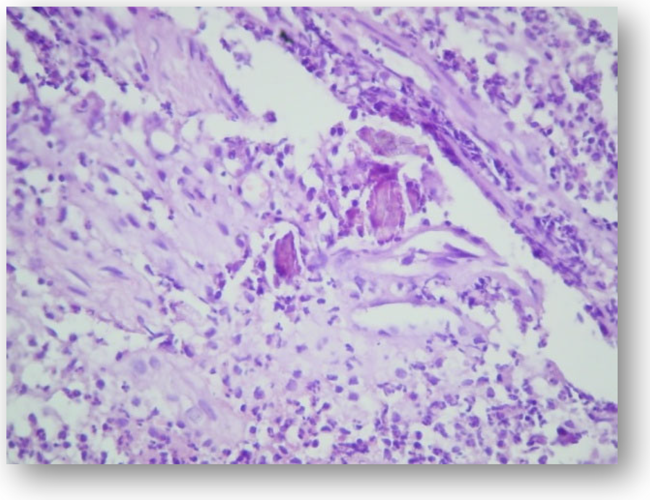 Applsci 11 09440 g009