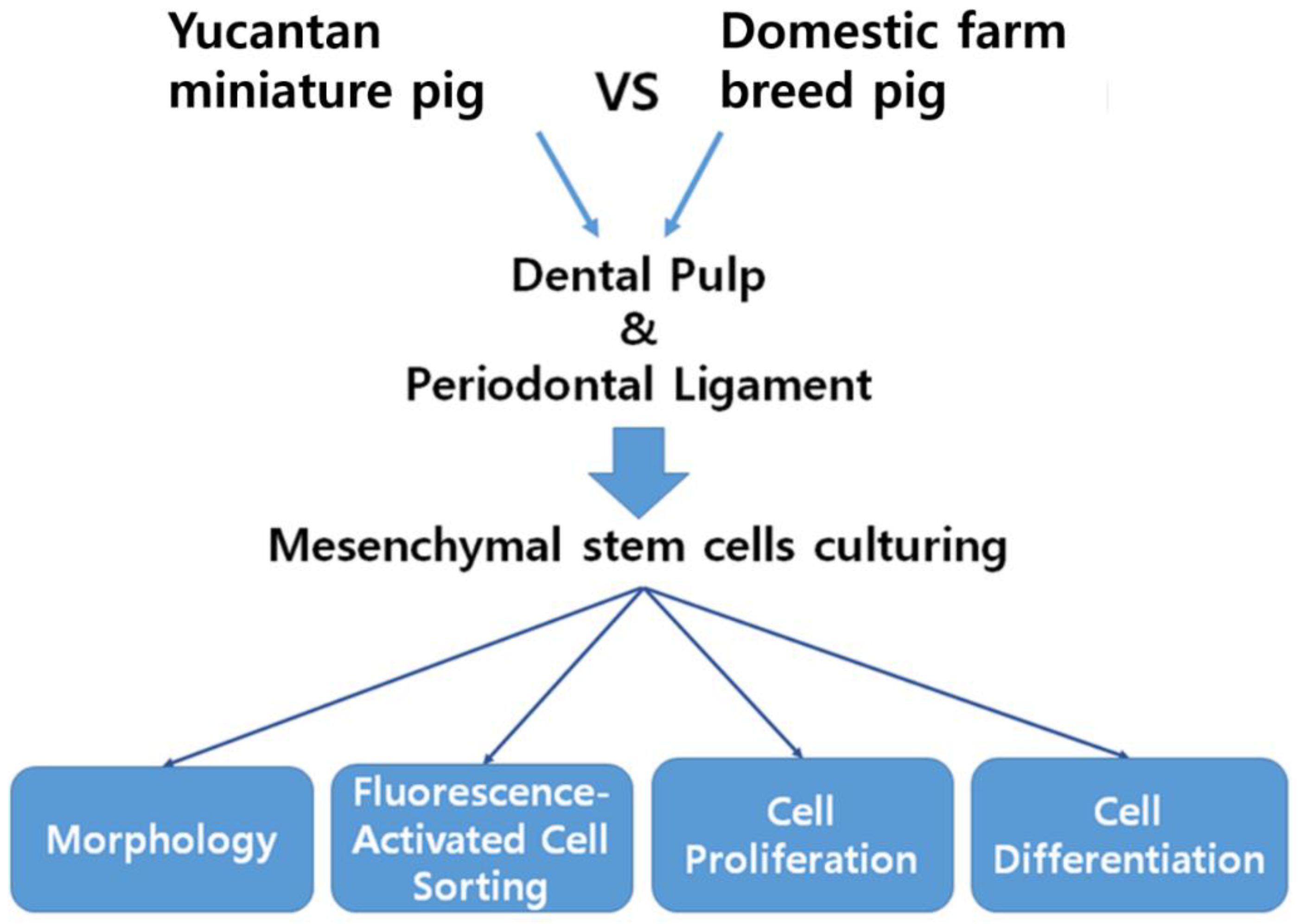 Applsci 11 09461 g001