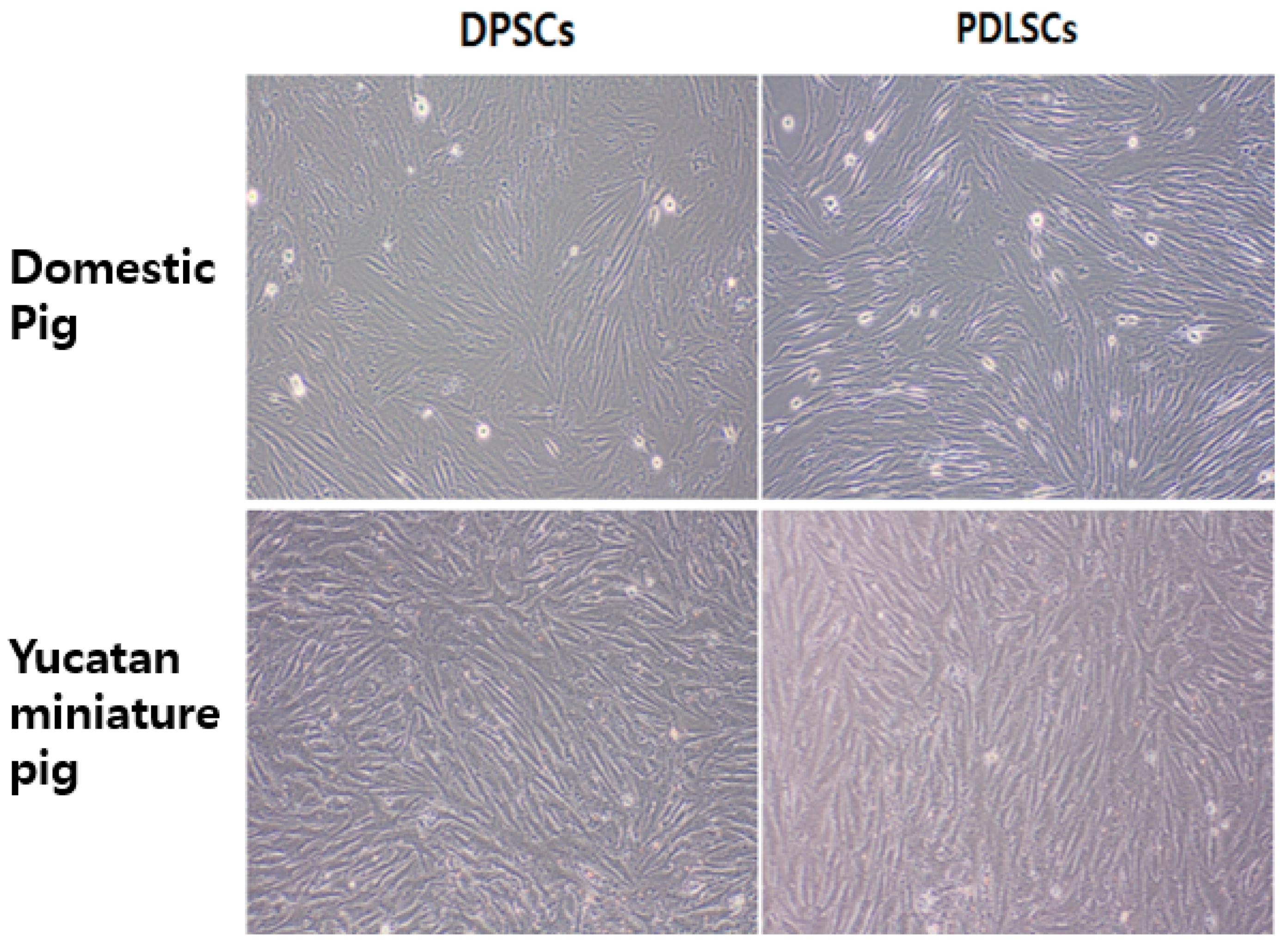 Applsci 11 09461 g002