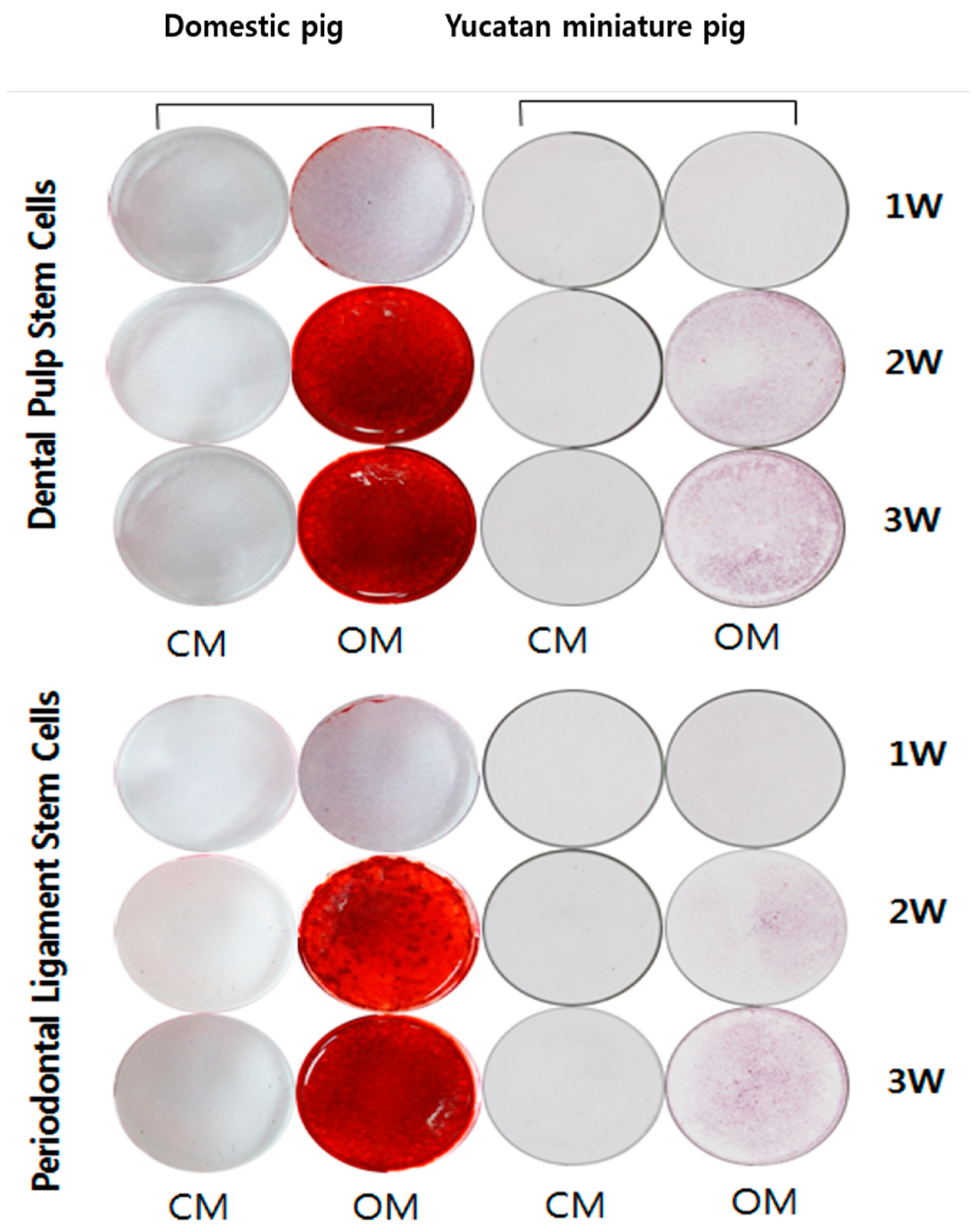 Applsci 11 09461 g005