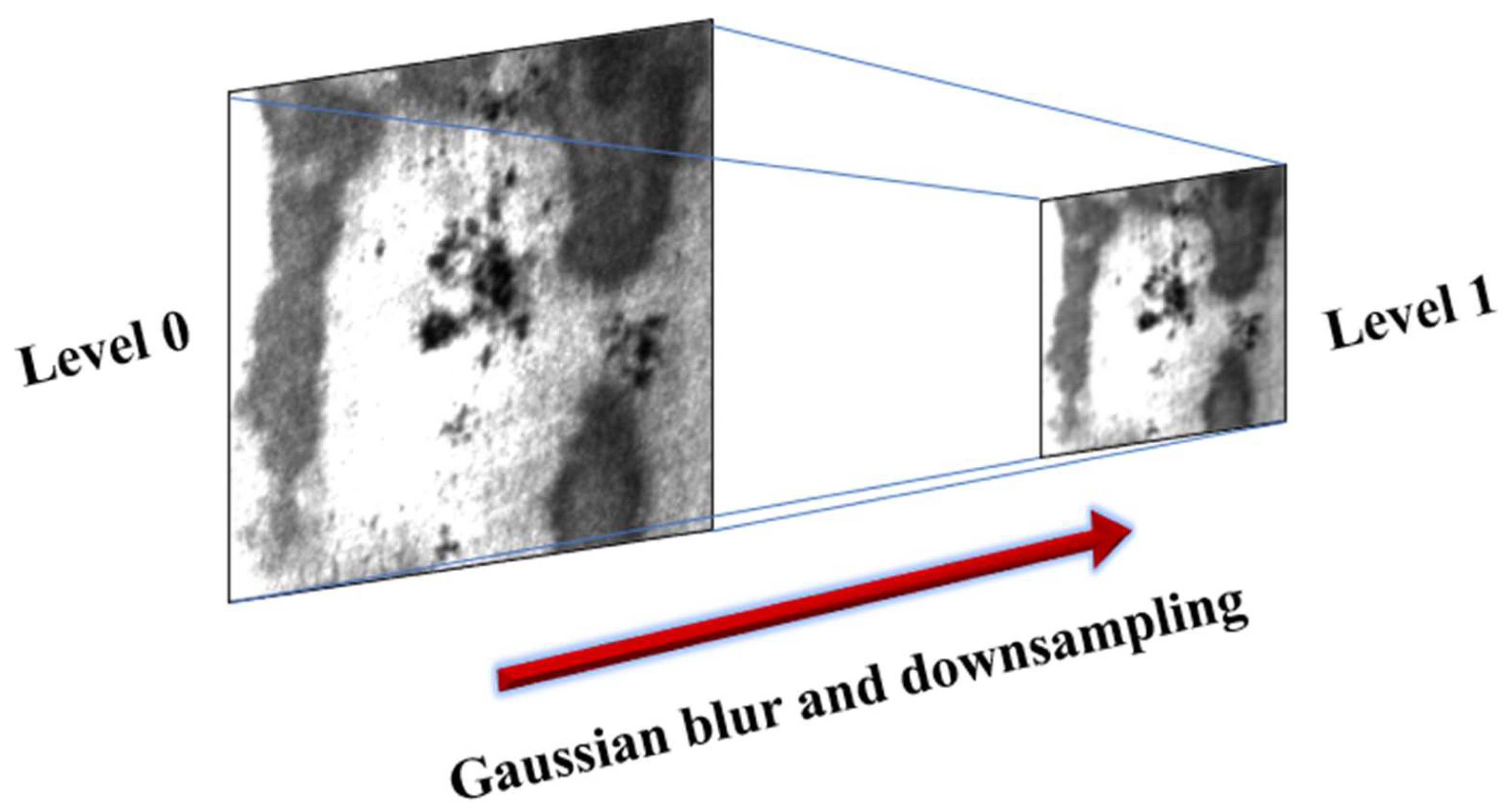 Applsci 11 09473 g001