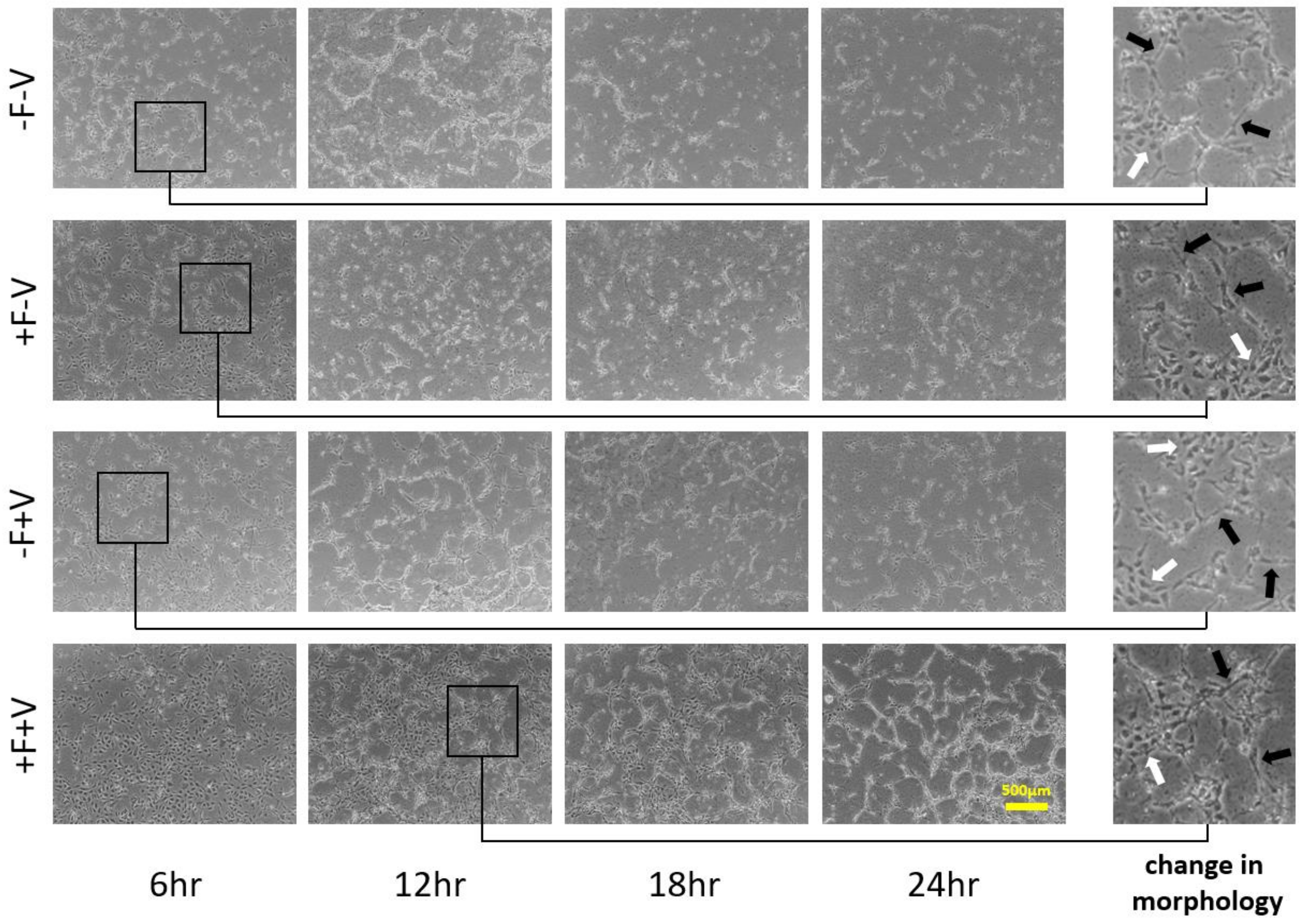 Applsci 11 09501 g002