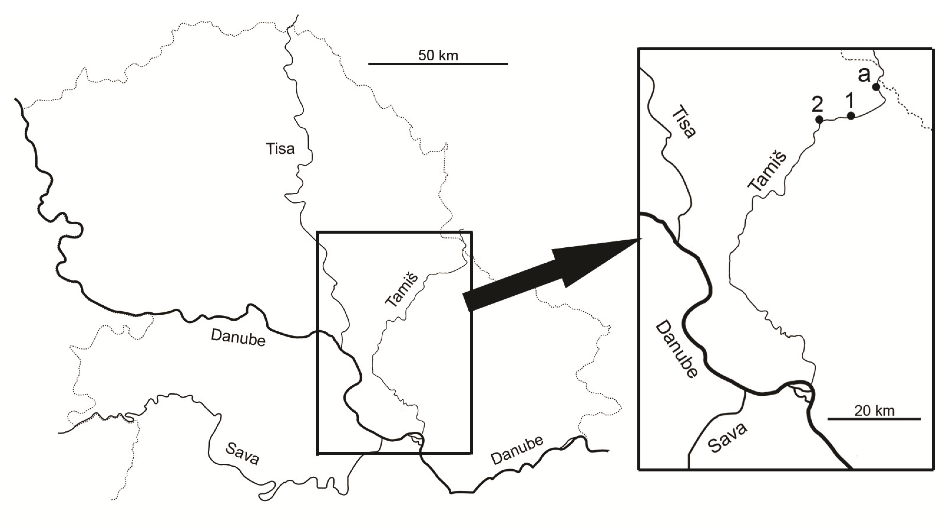 Applsci 11 09504 g001