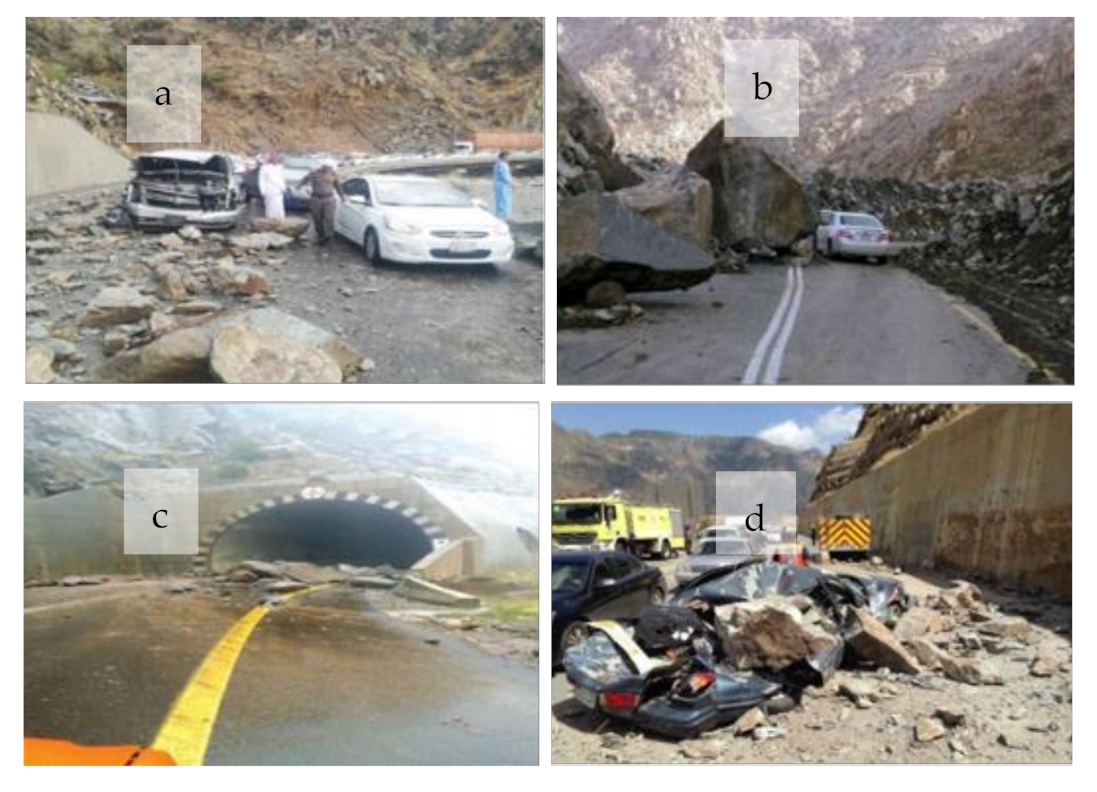 Applsci 11 09506 g001