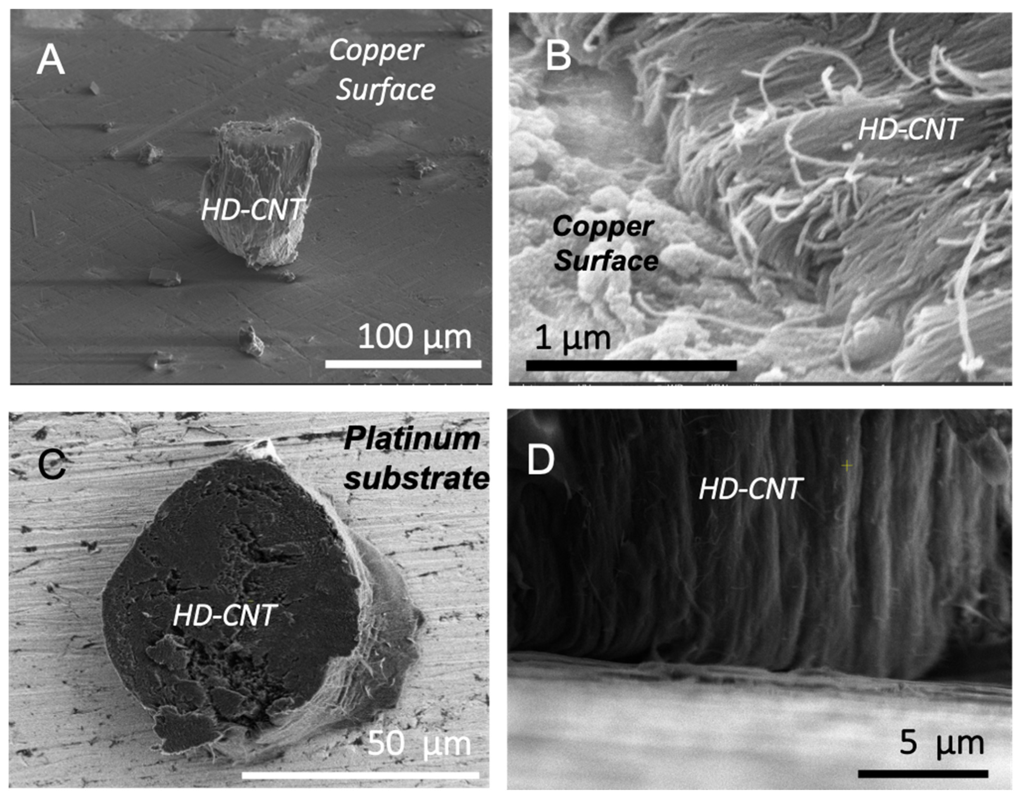 Applsci 11 09529 g004