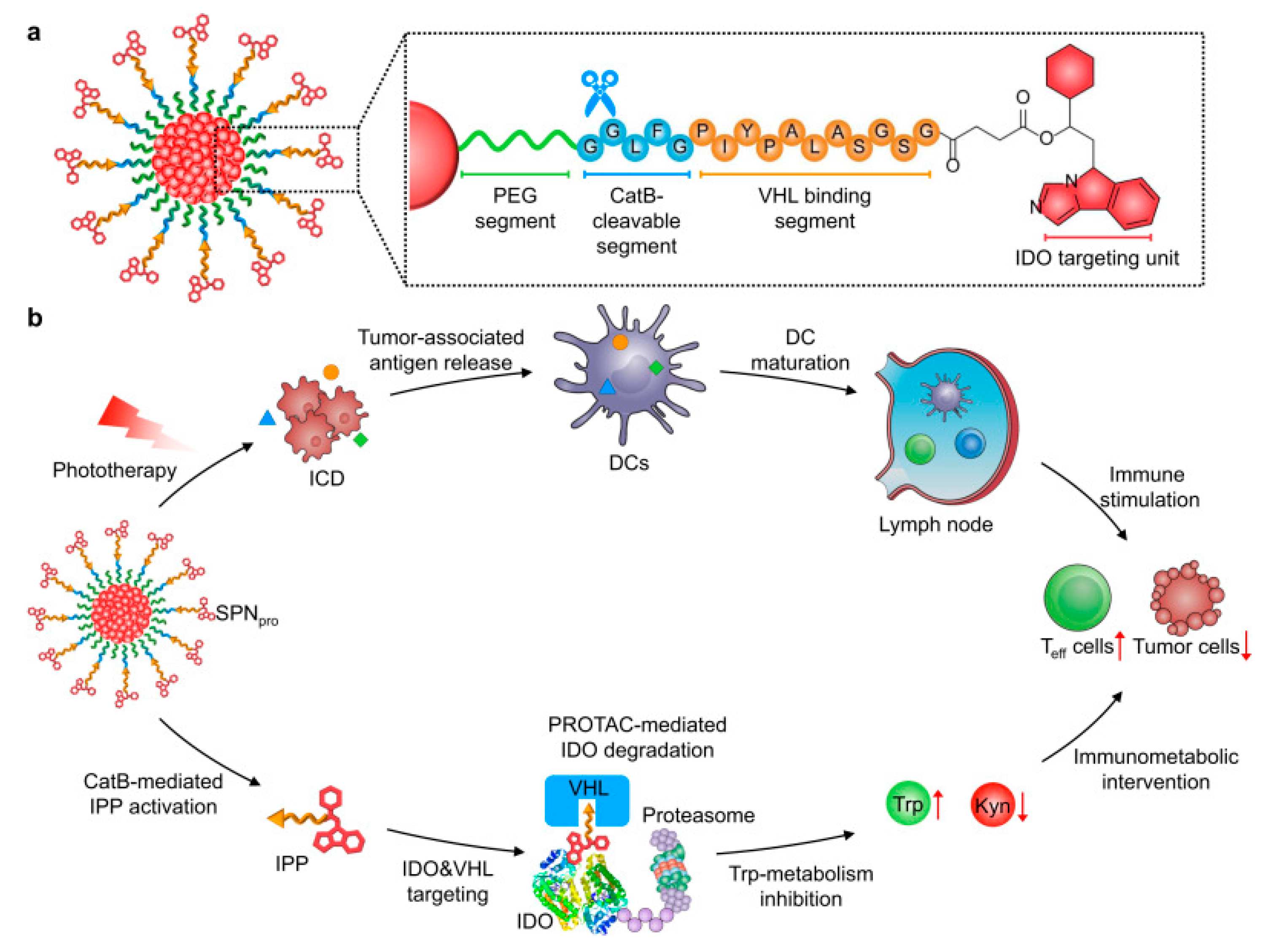 Applsci 11 09541 g002