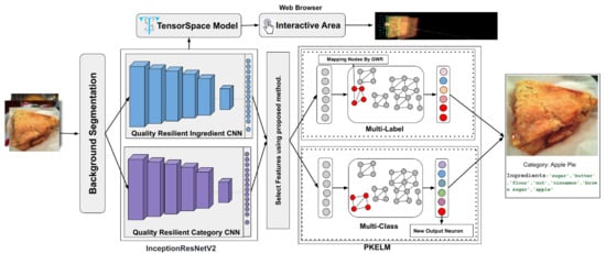 Applsci 11 09562 g001