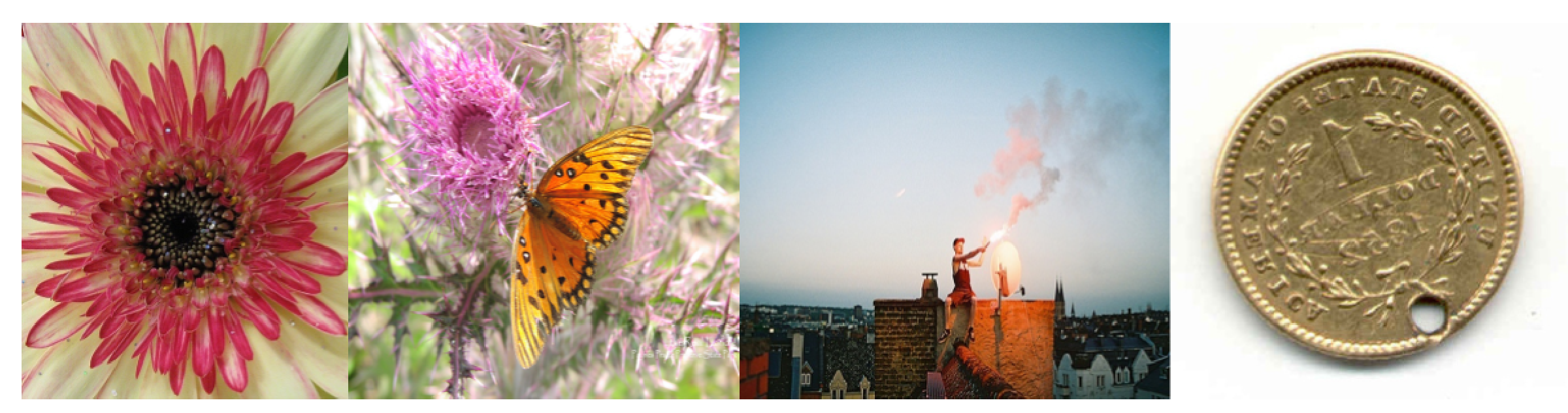 Applsci 11 09562 g022