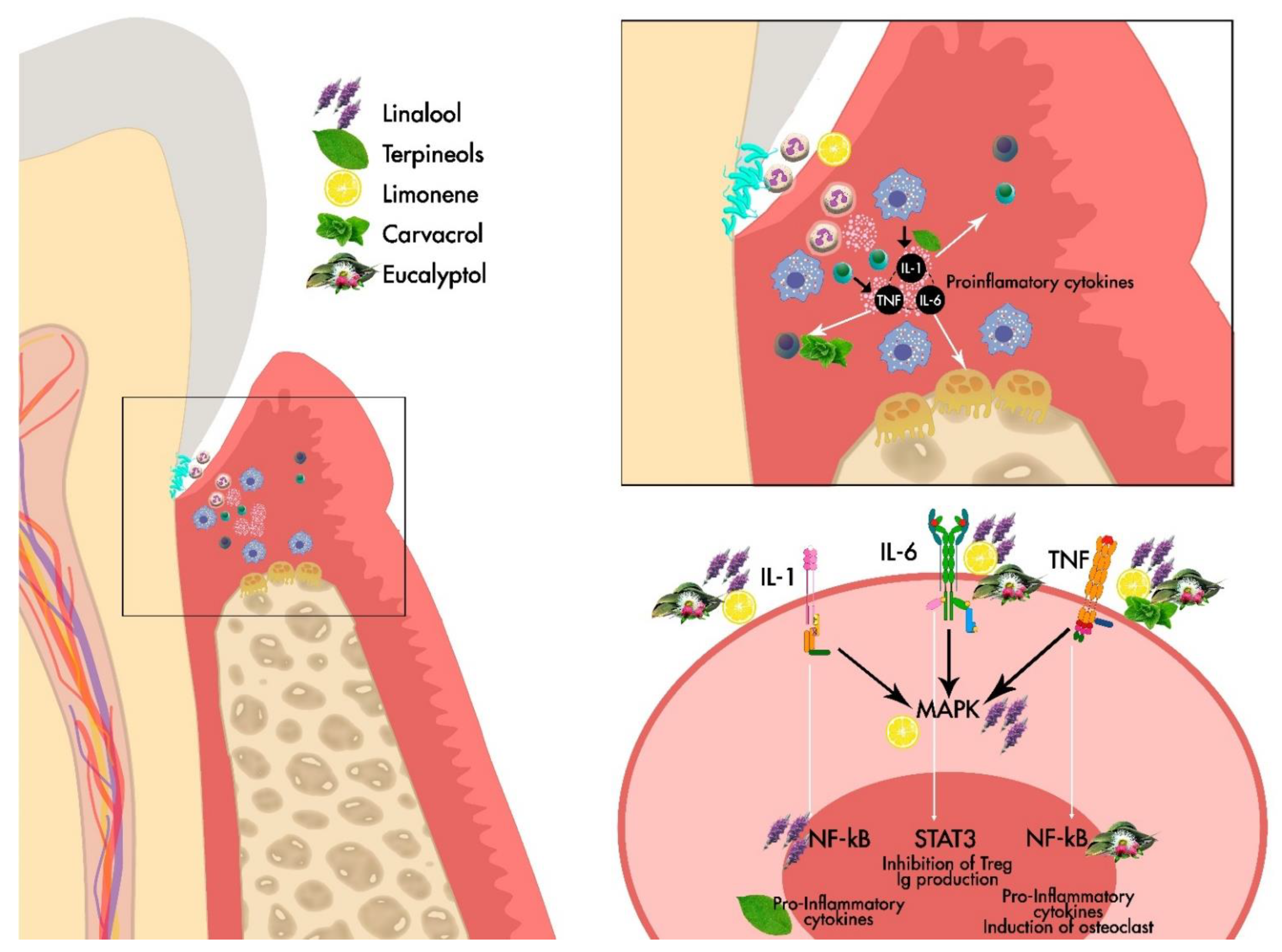 Applsci 11 09563 g001