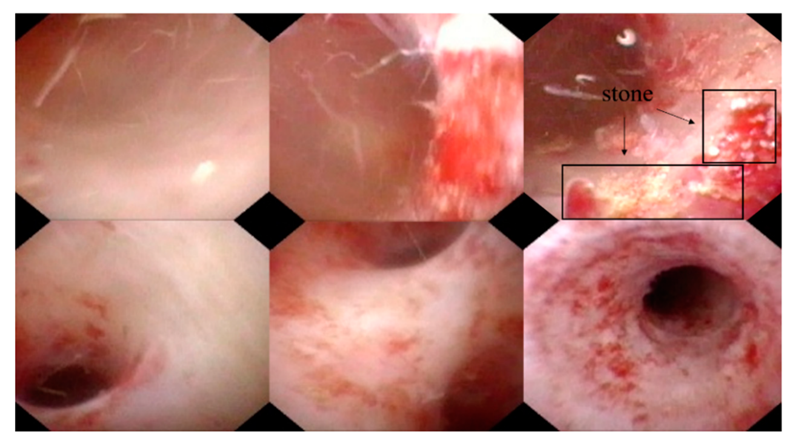 Applsci 11 09585 g004