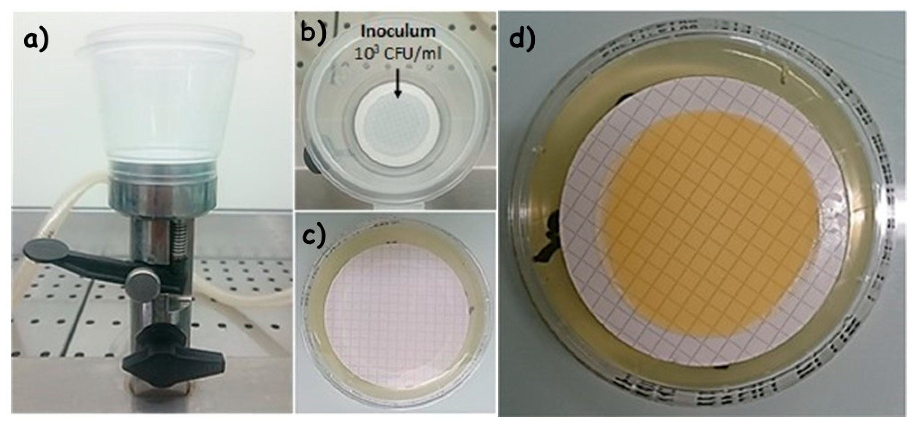 Applsci 11 09598 g003