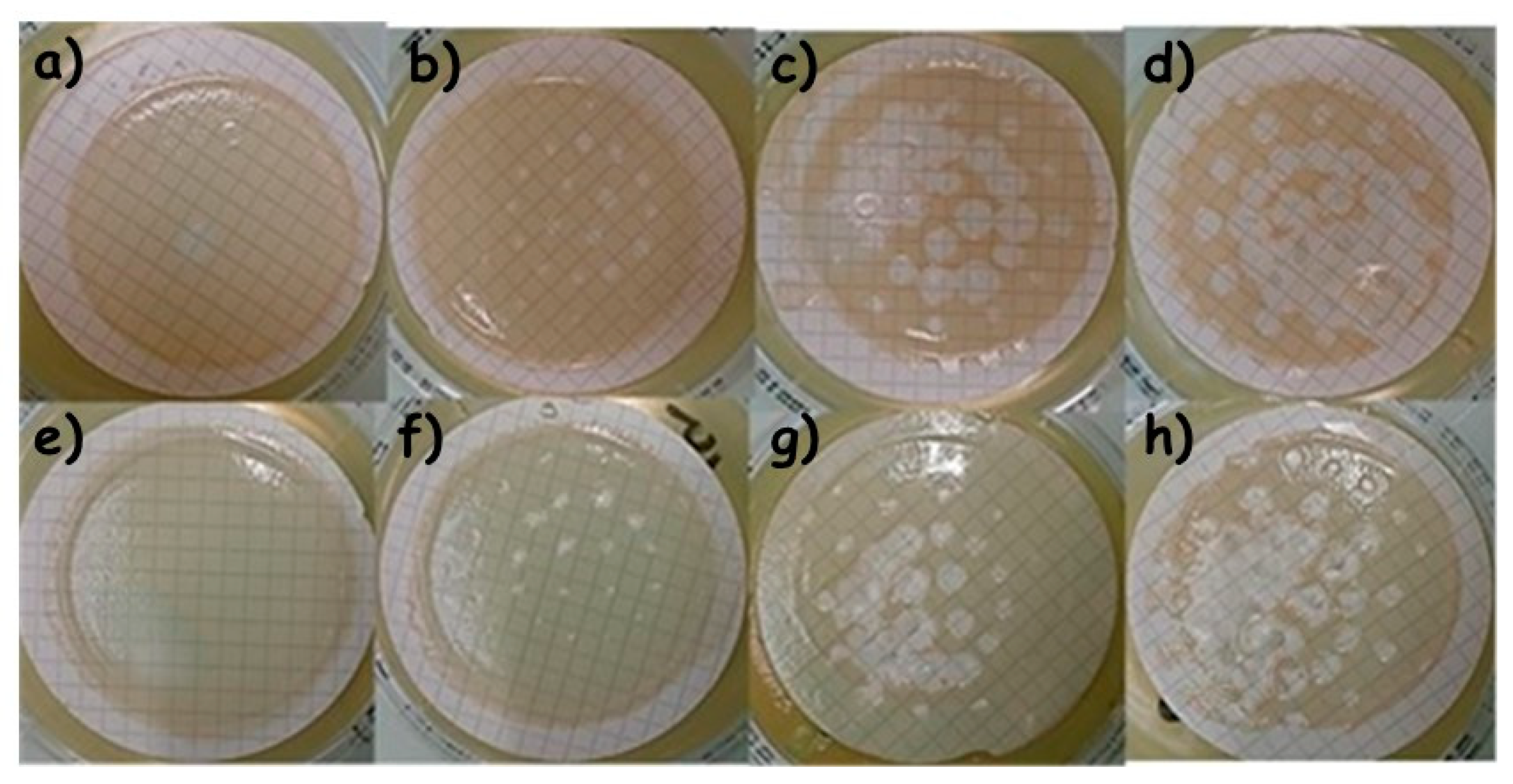 Applsci 11 09598 g009