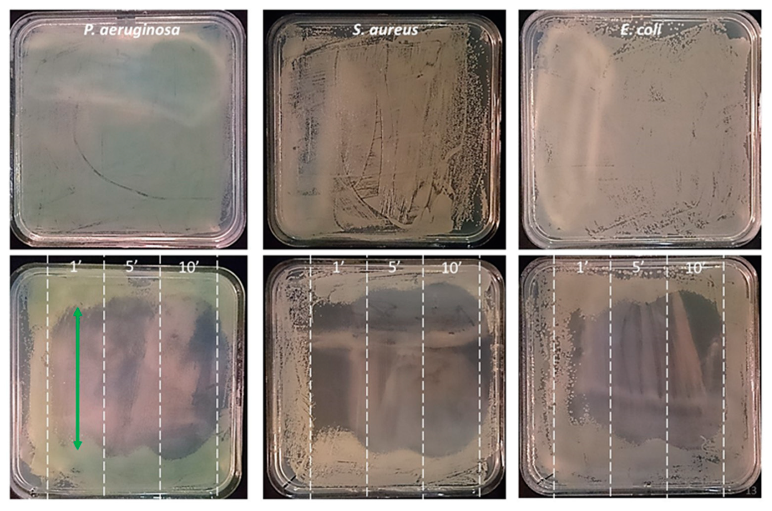 Applsci 11 09598 g010