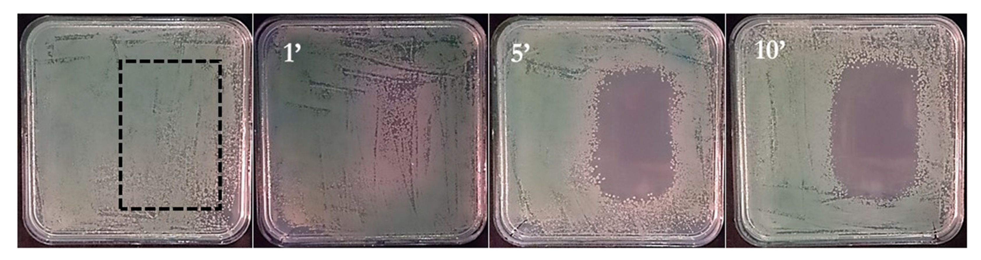 Applsci 11 09598 g011