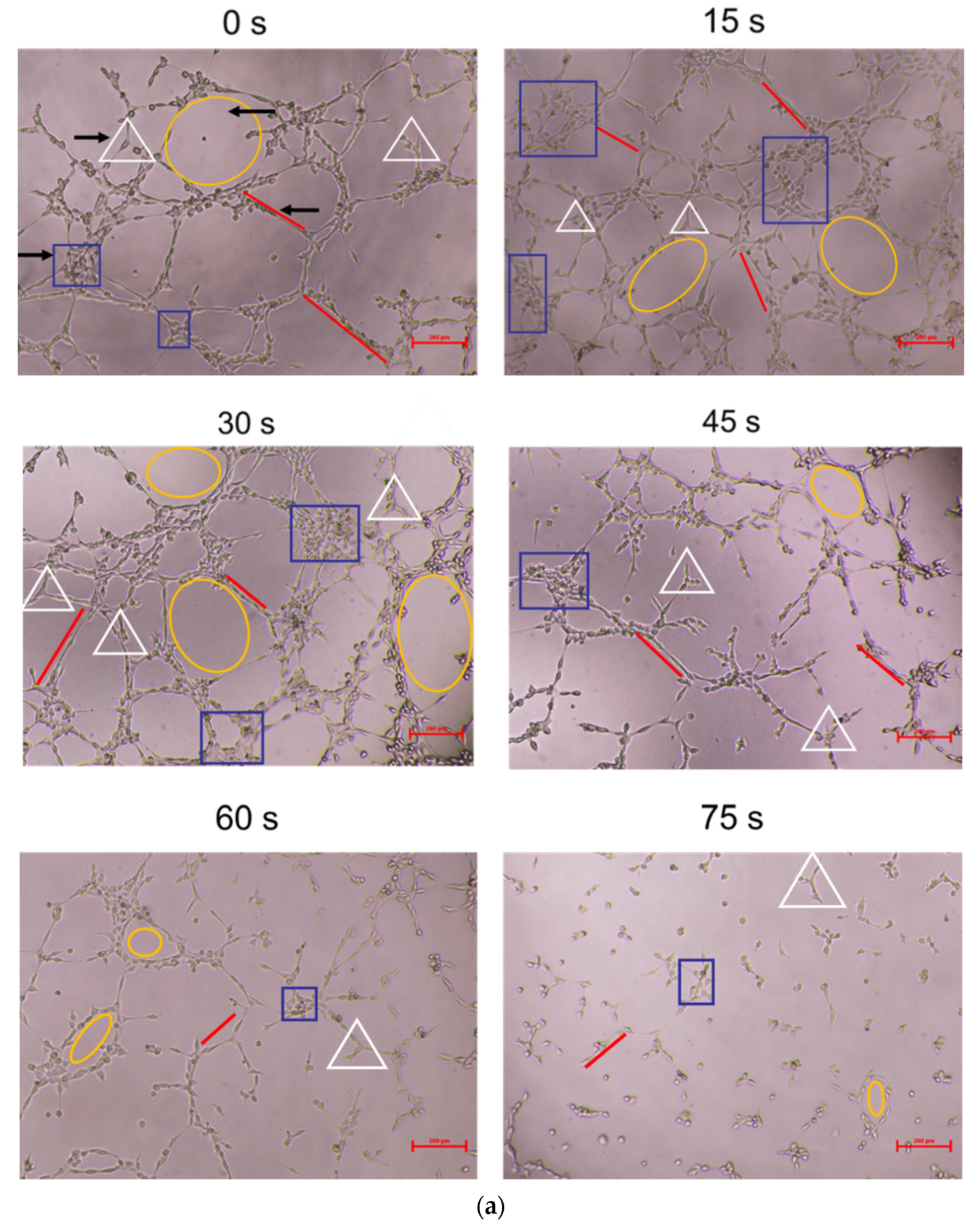 Applsci 11 09603 g003a