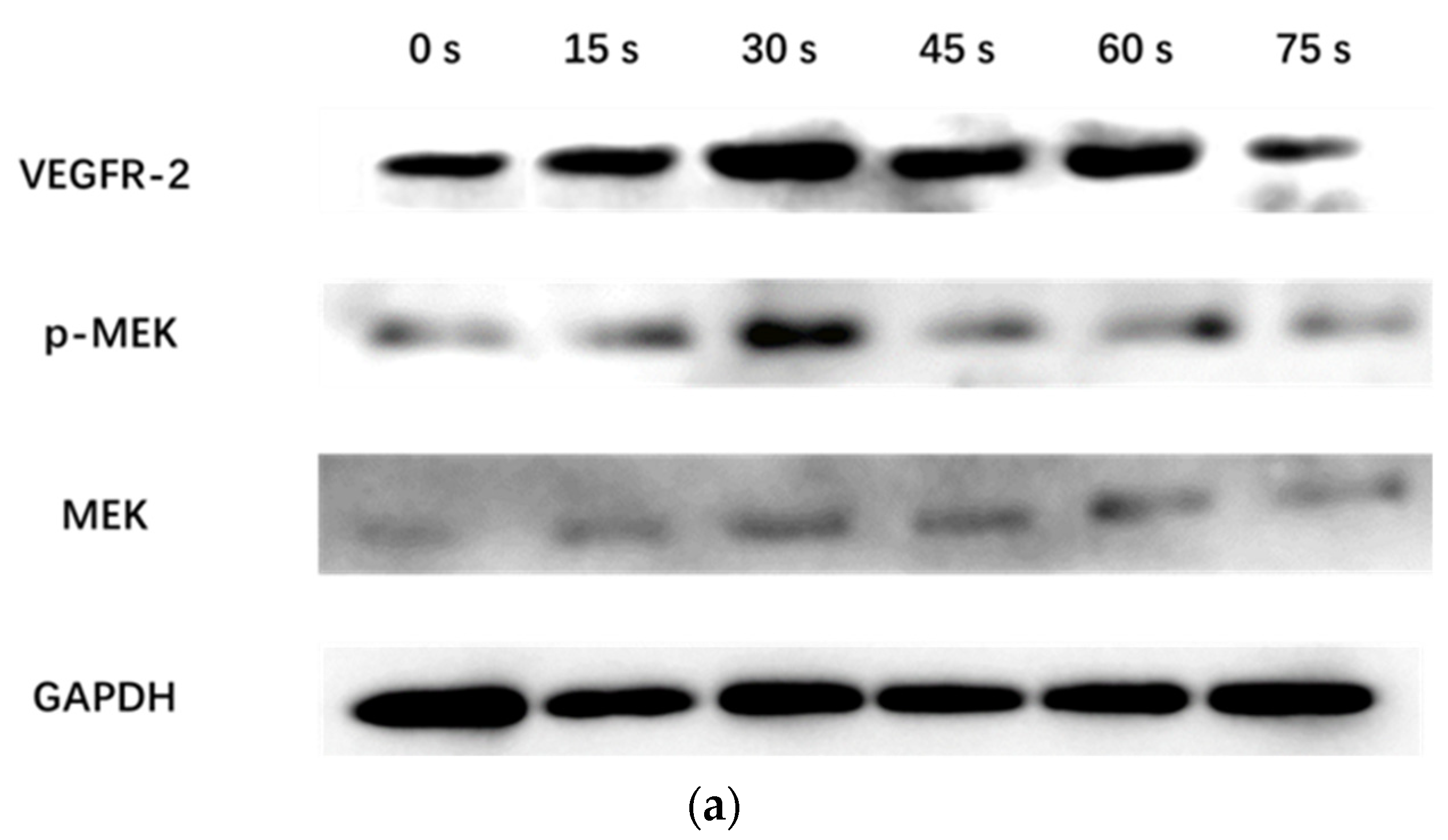 Applsci 11 09603 g007a