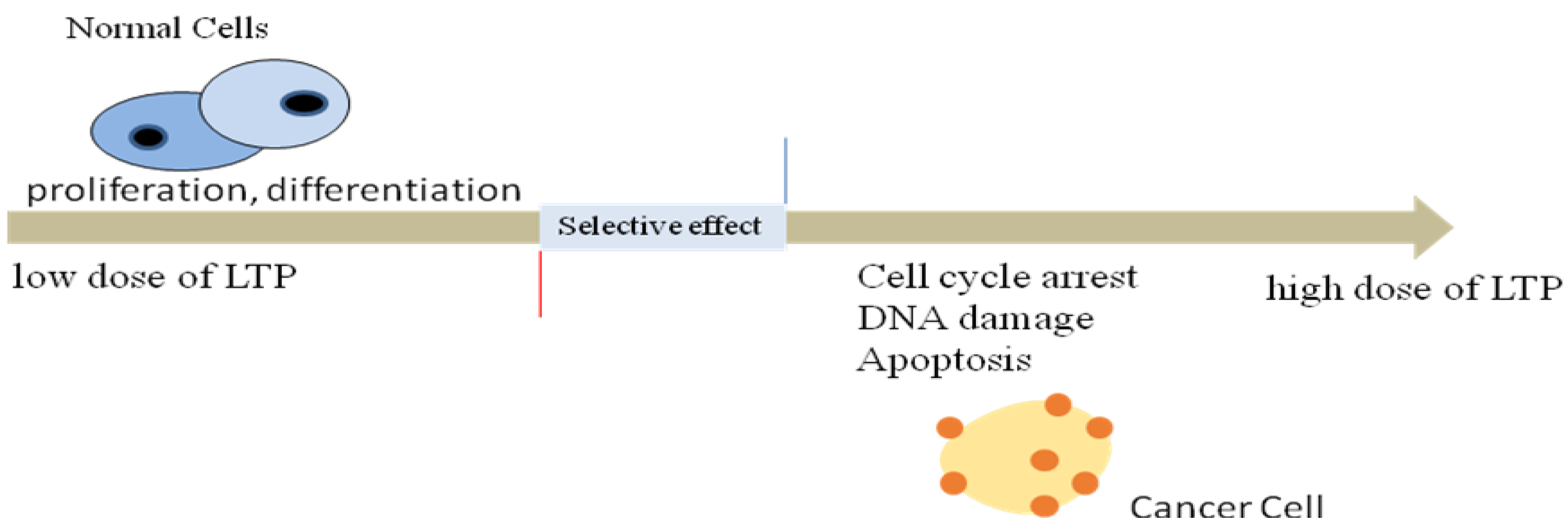 Applsci 11 09618 g001