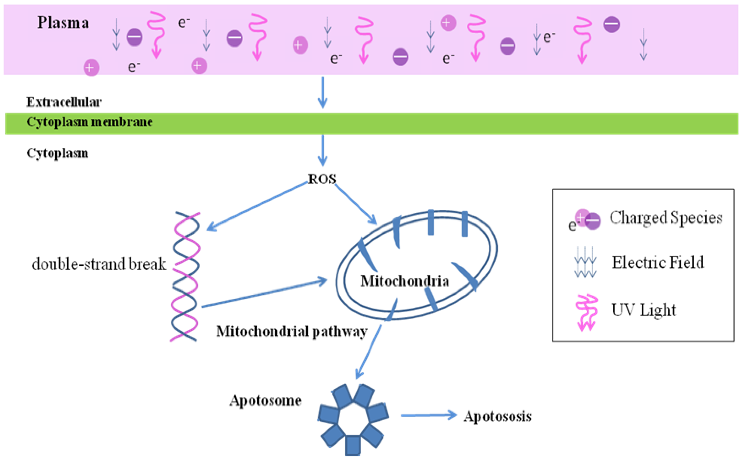 Applsci 11 09618 g002