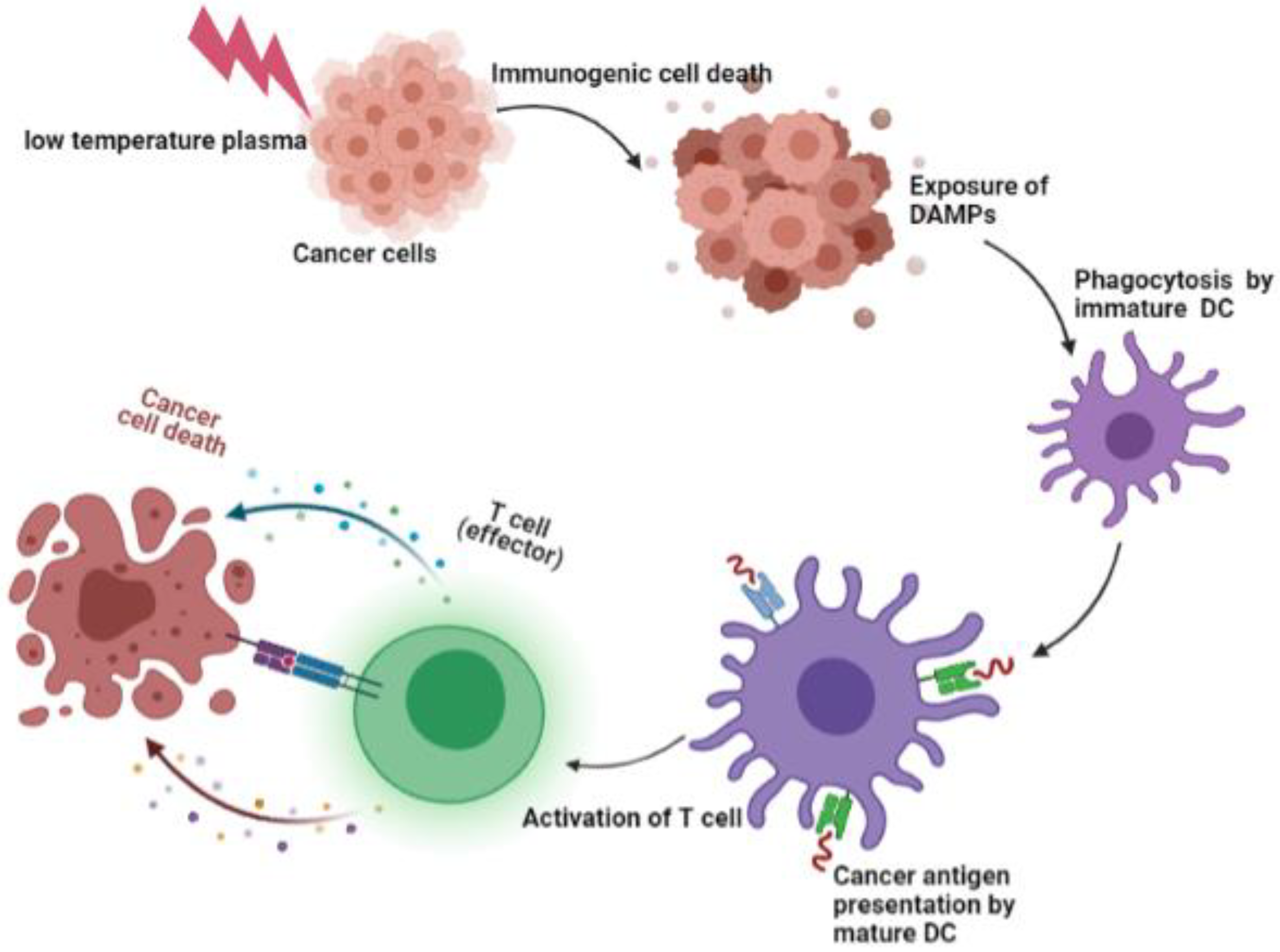 Applsci 11 09618 g003