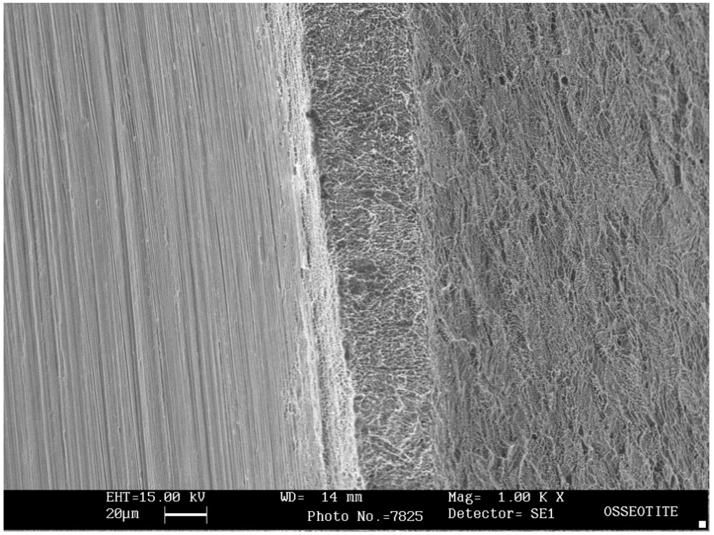 Applsci 11 09625 g001 Applsci 11 09625 g001