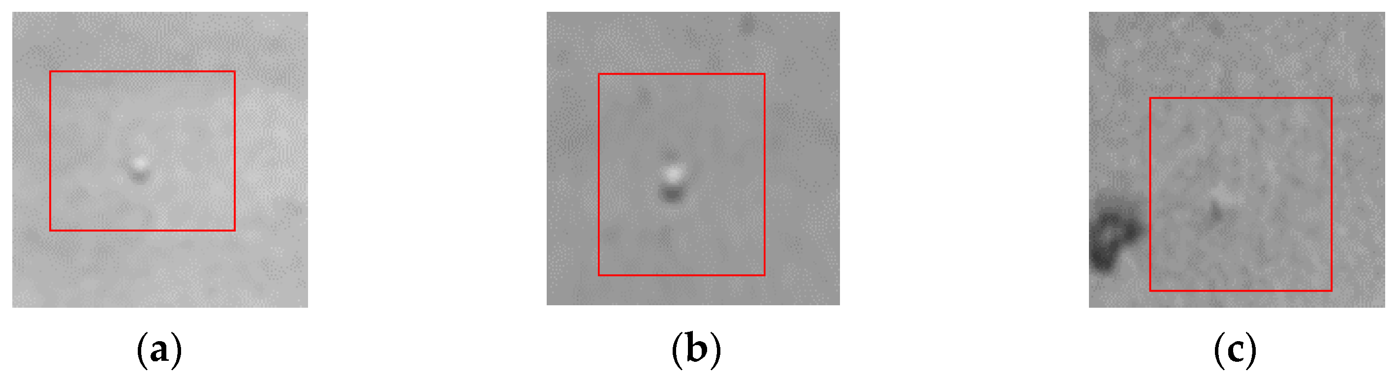 Applsci 11 09632 g003