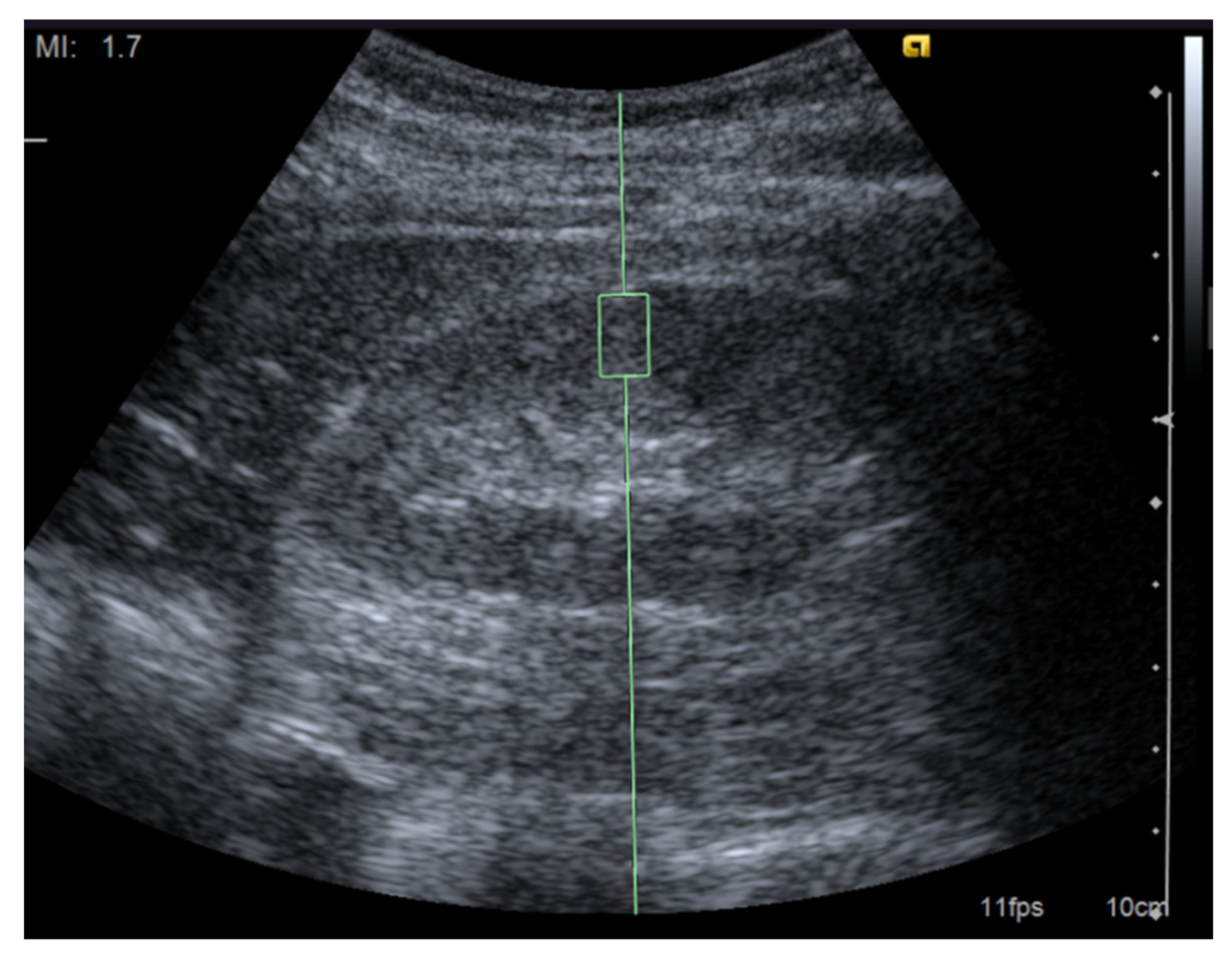 Applsci 11 09677 g001