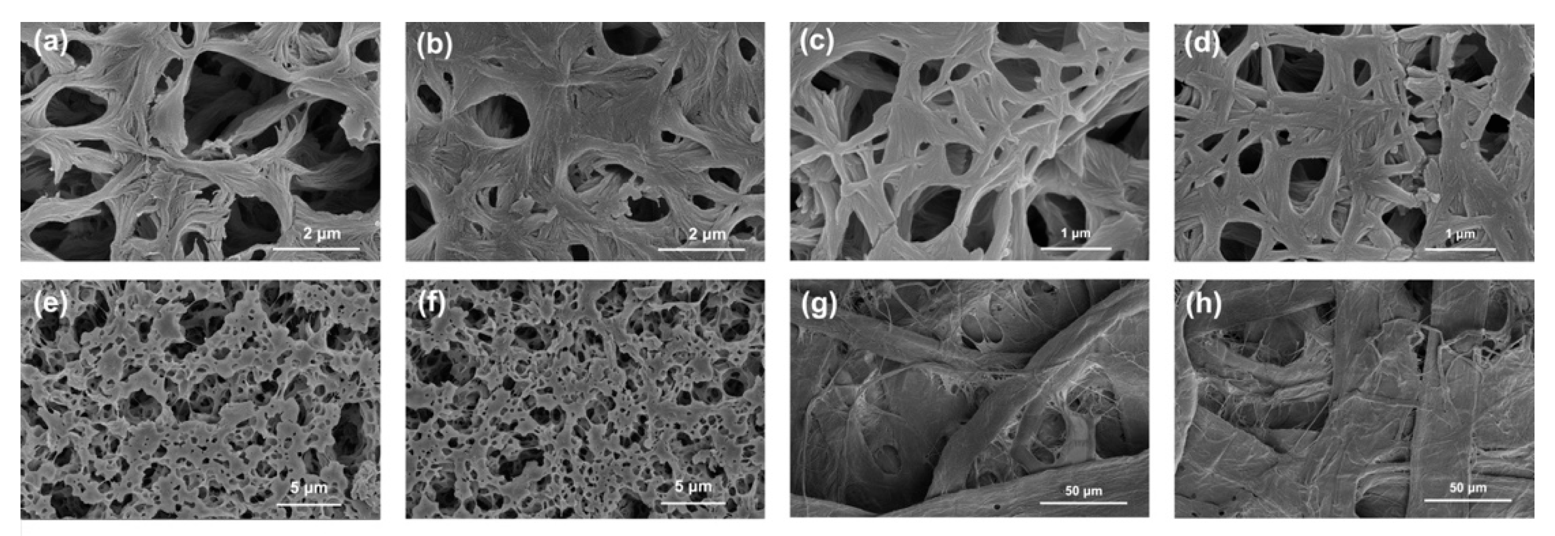 Applsci 11 09684 g002