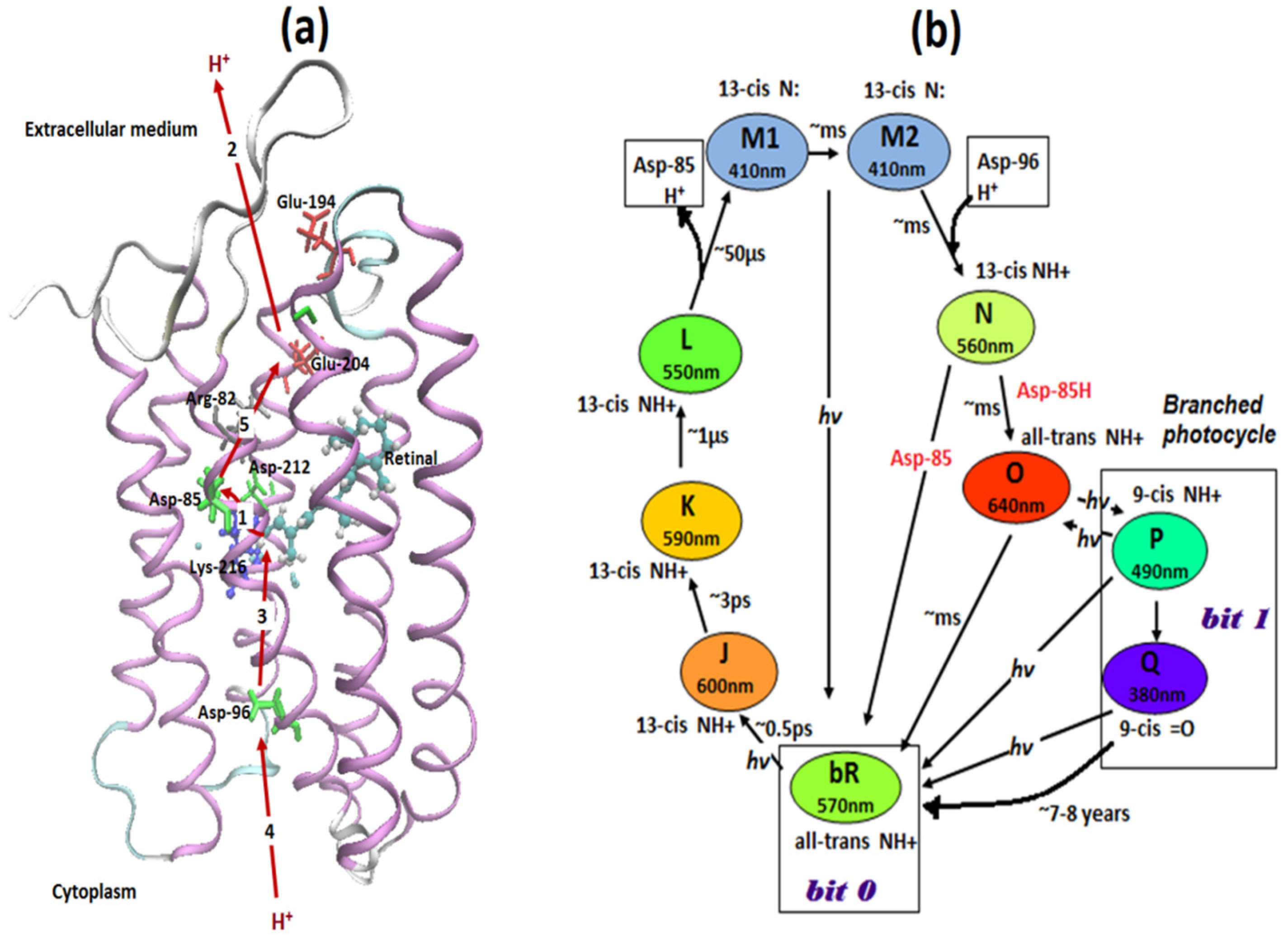 Applsci 11 09698 g001