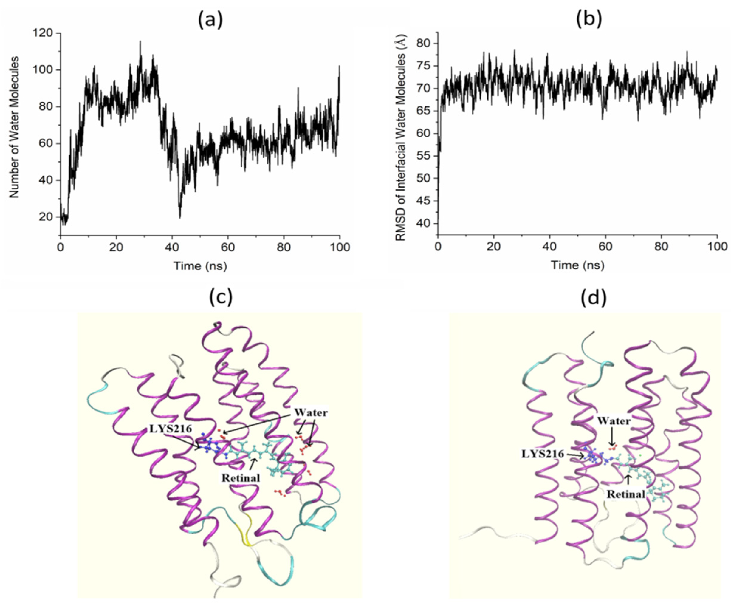 Applsci 11 09698 g006