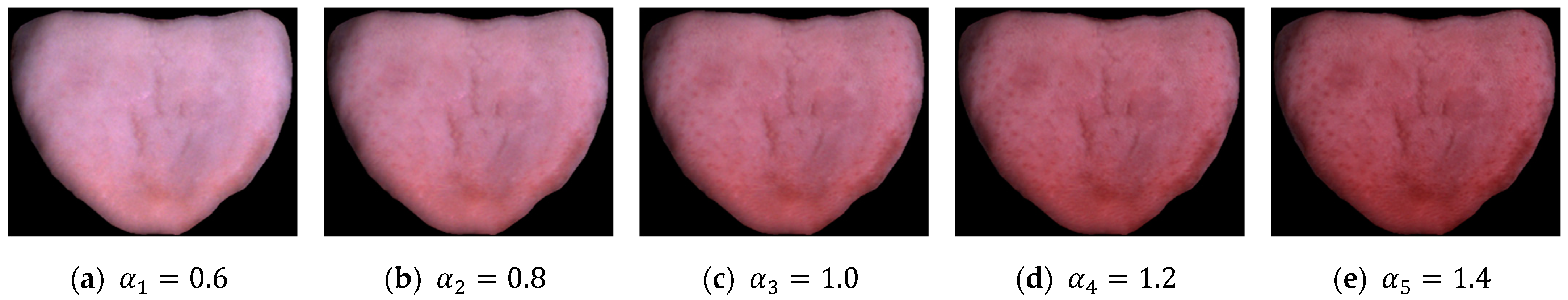 Applsci 11 09716 g004