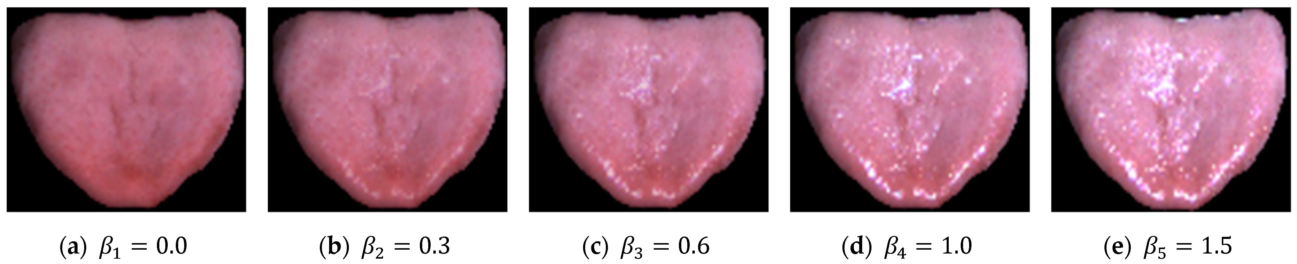 Applsci 11 09716 g005