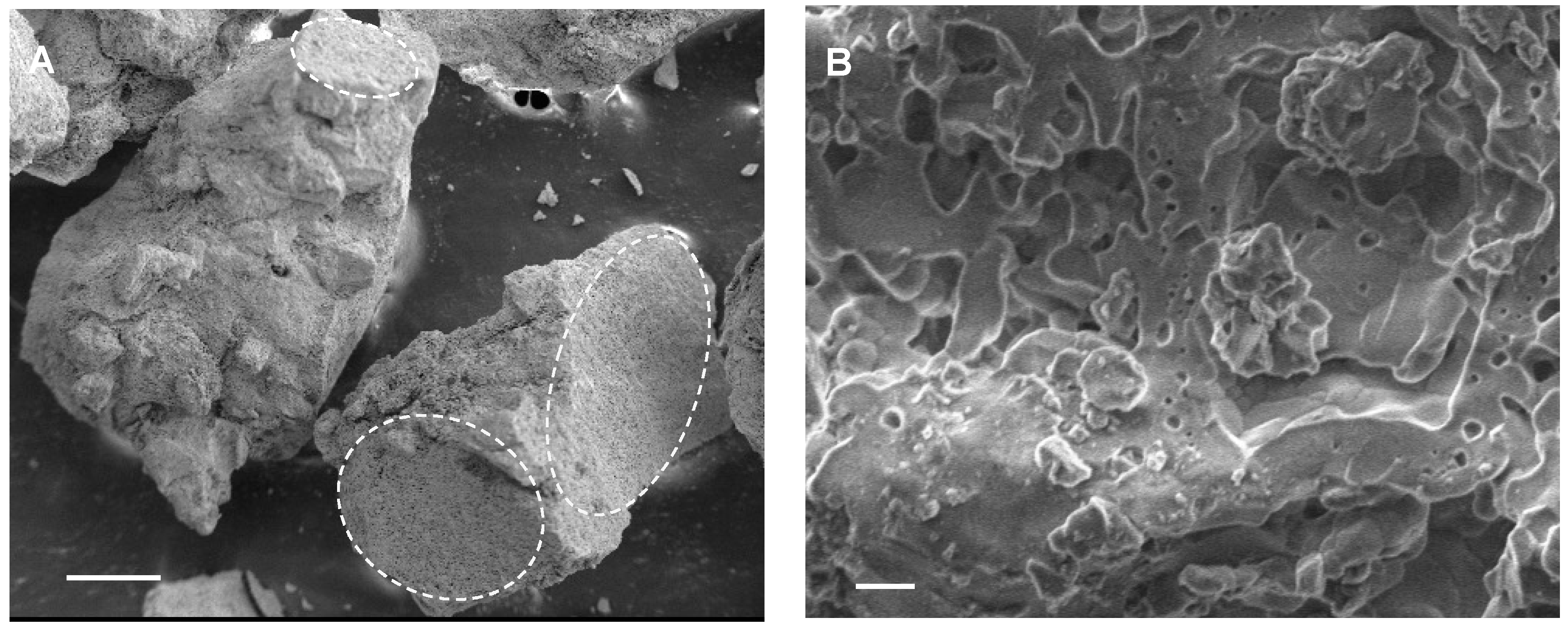 Applsci 11 09723 g001