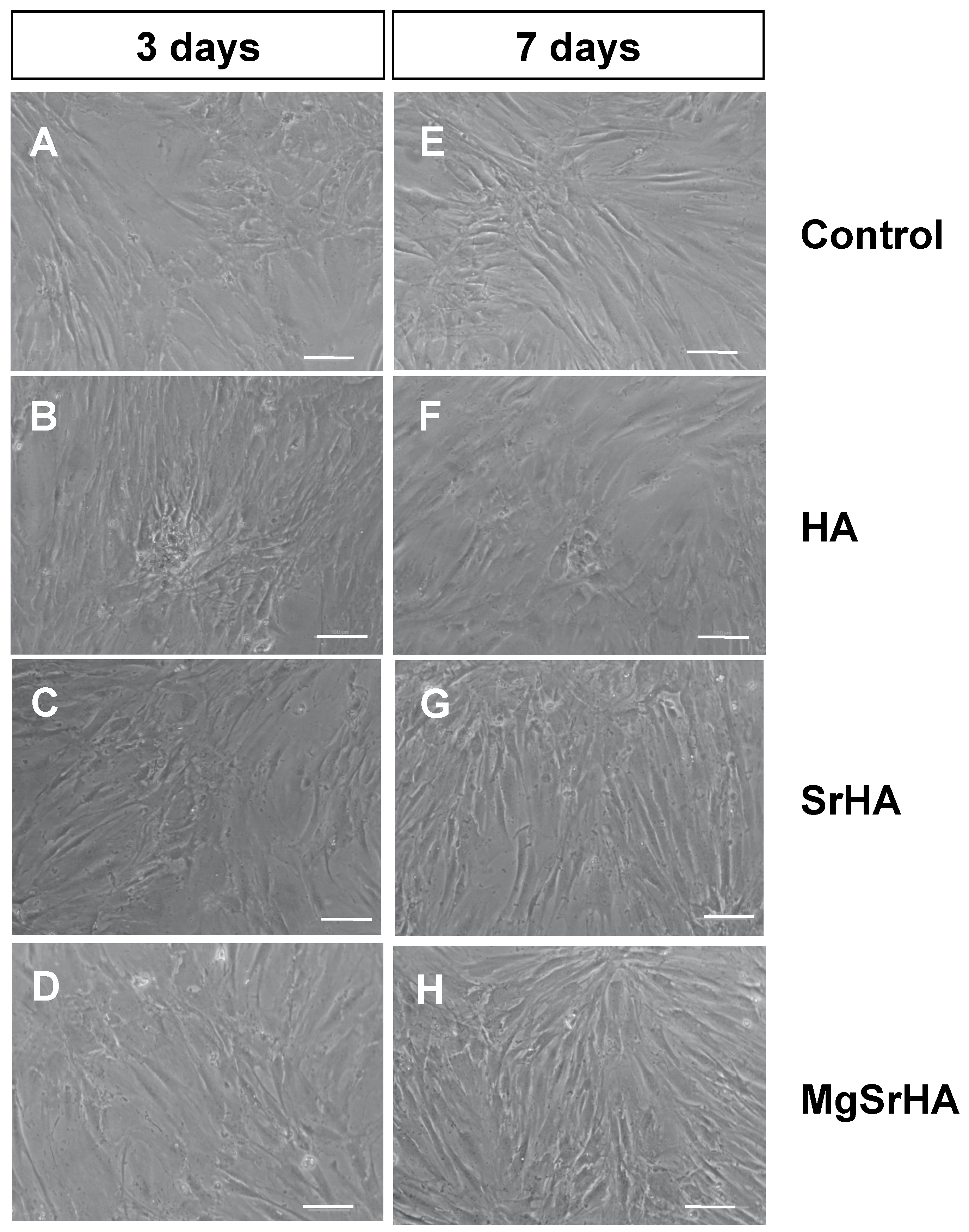 Applsci 11 09723 g002