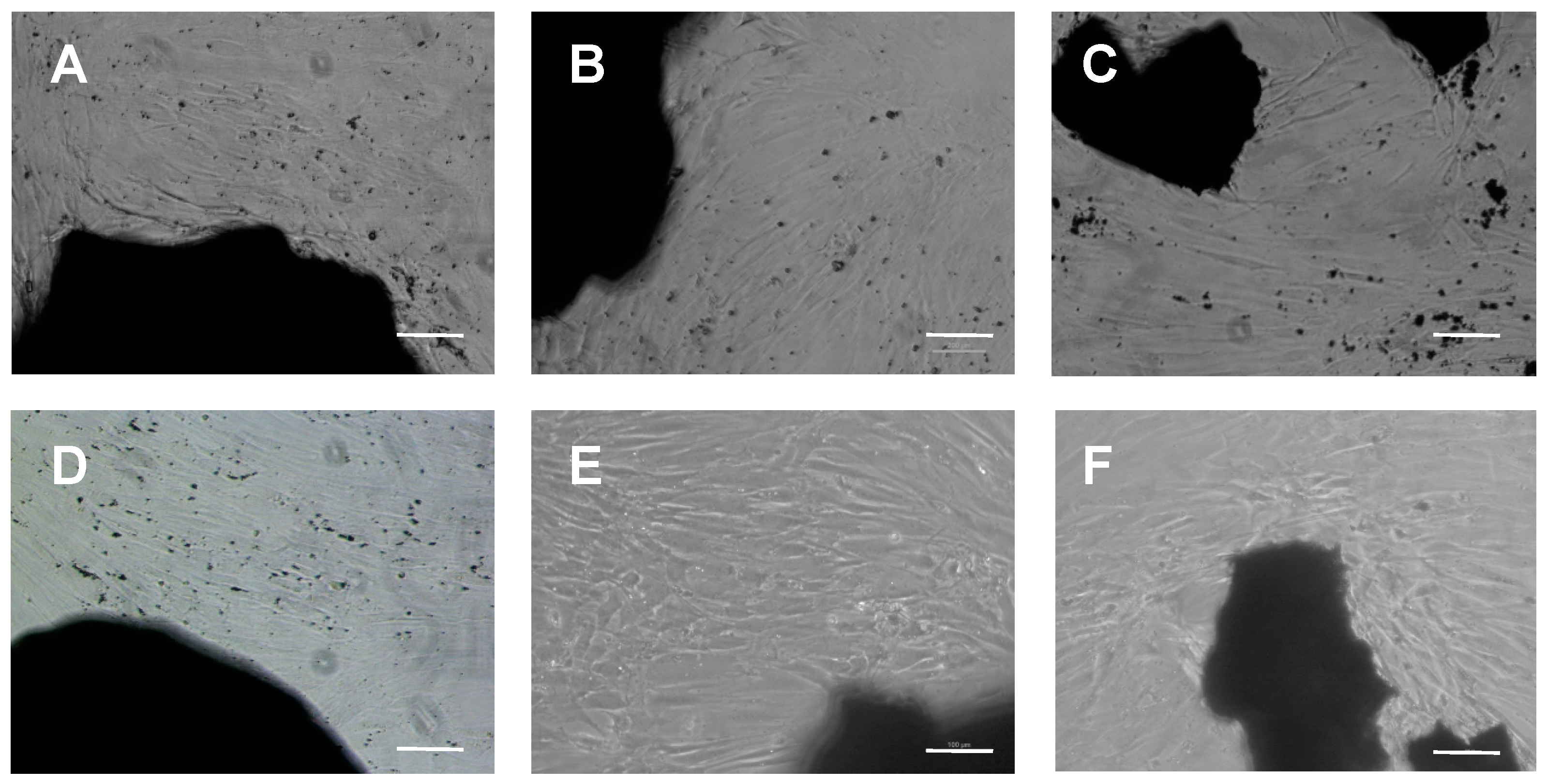 Applsci 11 09723 g003