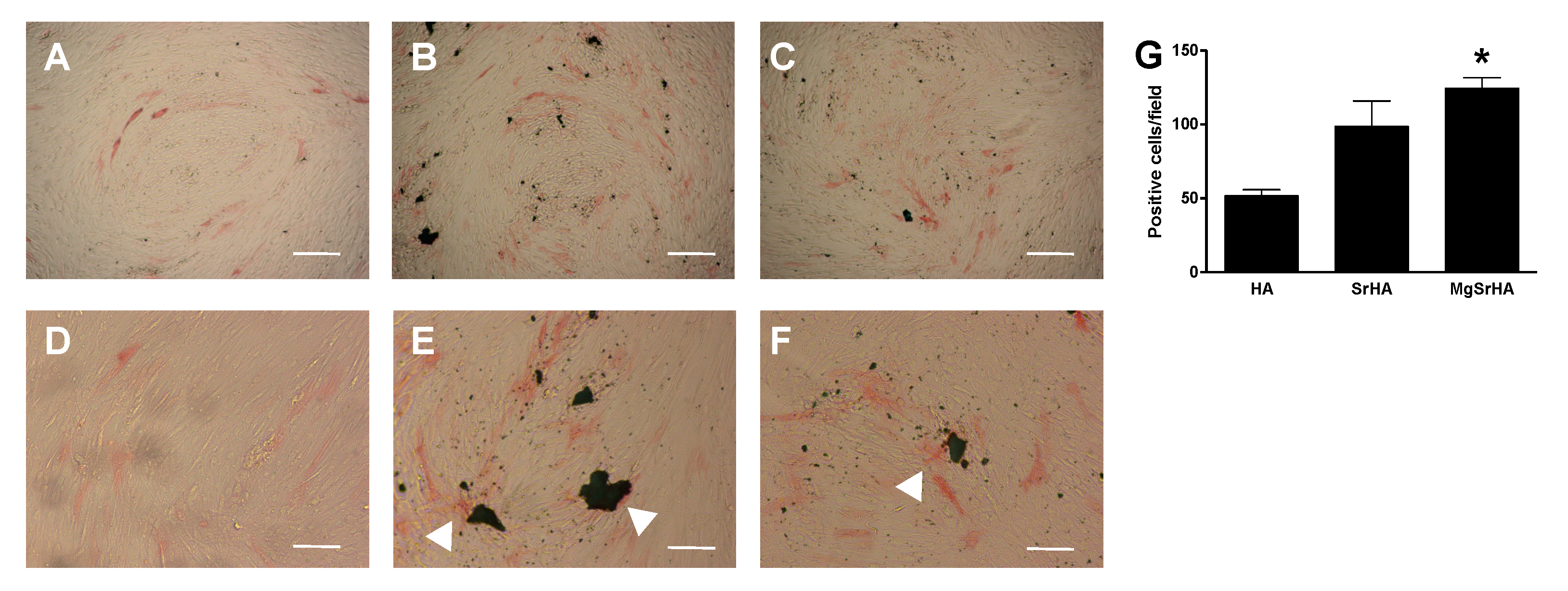 Applsci 11 09723 g005